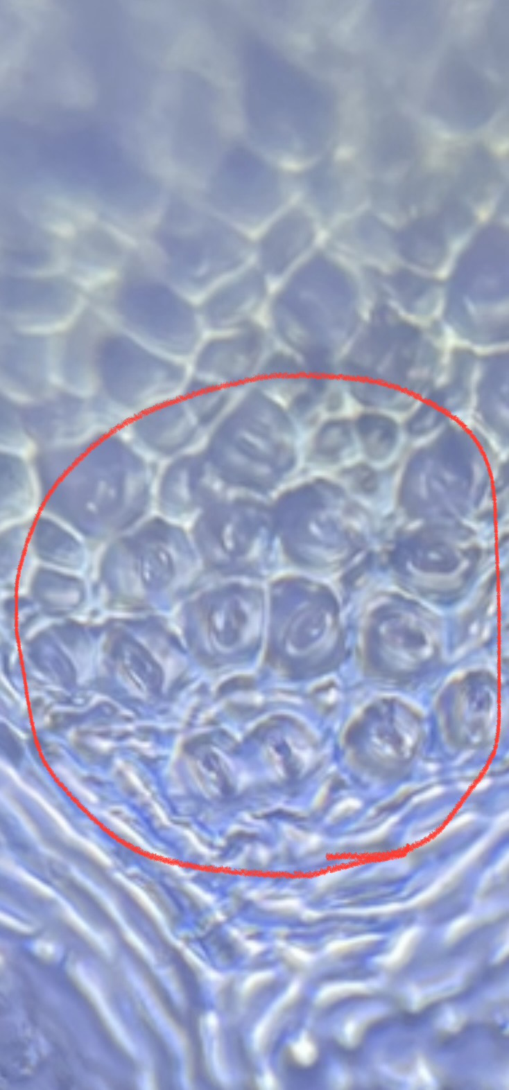 post_media%2FO0ZP9eGJIzOCeiUHhOmIszc8AR53%2Fnopid%2Fg7m3zq64p9_IMG_0910.jpeg?alt=media&token=81b87254-9344-47ef-8ed3-77a33d476392