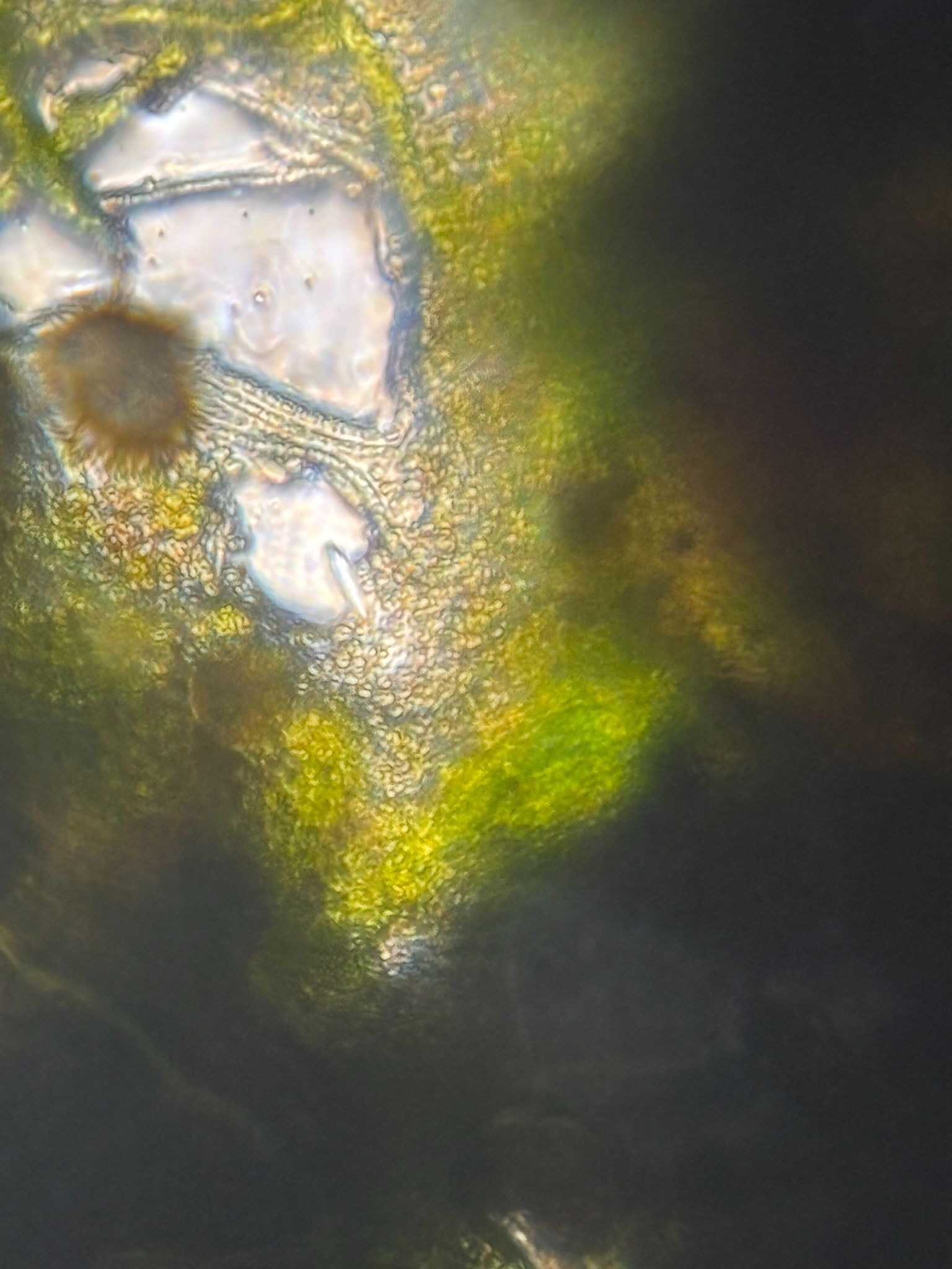 post_media%2FPKFPbxlDO5WrPFAeypXThk7MCKp1%2FP0YIXP0XZZqf6JkgF5pk%2F375fhqw607_download.jpg?alt=media&token=07440865-5df7-40e9-a63f-8a1ab670d159