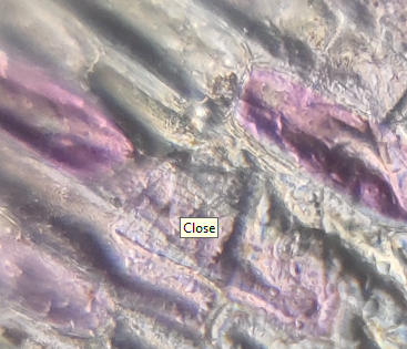 post_media%2FQSqSxKelUmb5jpQ7dzBC6ay2uEG3%2Fnopid%2Fndthq4yv47_Screenshot%202025-06-10%20164947.png?alt=media&token=6f6ecd22-e3fc-4d66-ac0c-852da26ed91a