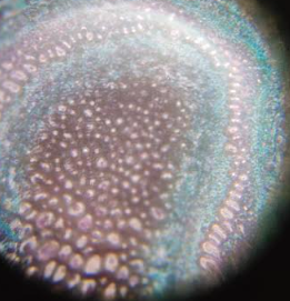 post_media%2FQSqSxKelUmb5jpQ7dzBC6ay2uEG3%2Fnopid%2Fzutywf423j_Screenshot%202025-06-10%20165340.png?alt=media&token=ad4dc138-4df4-4cc6-9405-8e29f9c2ee41