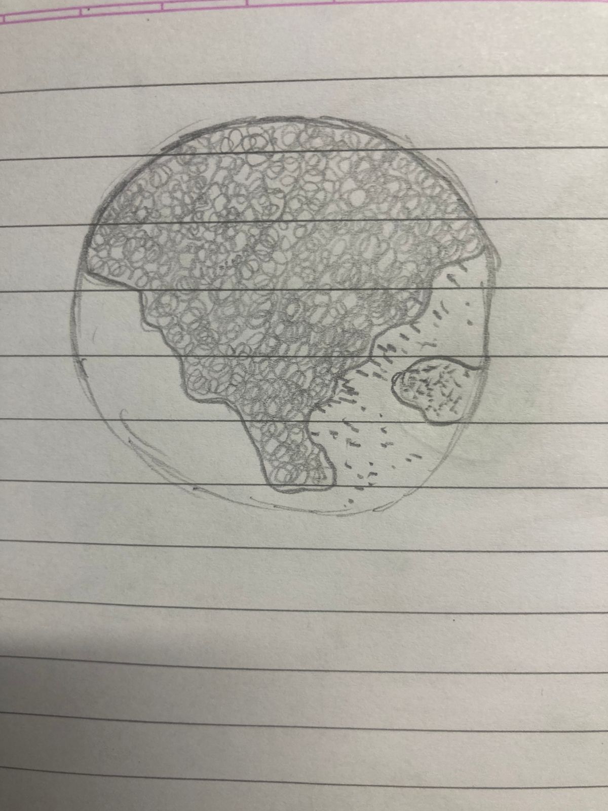 post_media%2FQwcU4YpwtQWiYDkOpcfW2vgIyDn1%2Fnopid%2Fomomzygg4z_Drawing%20340.jpeg?alt=media&token=493edb79-3bf8-463b-b47f-2bedbbe0af3e