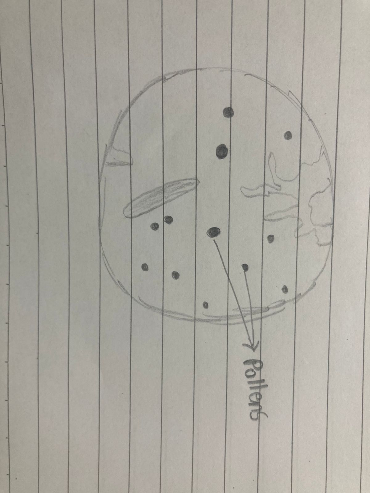 post_media%2FQwcU4YpwtQWiYDkOpcfW2vgIyDn1%2Fnopid%2Fzvowojvrx7_Drawing%20140.jpeg?alt=media&token=eca83d79-ba8e-47cd-b768-d6588daee9c1