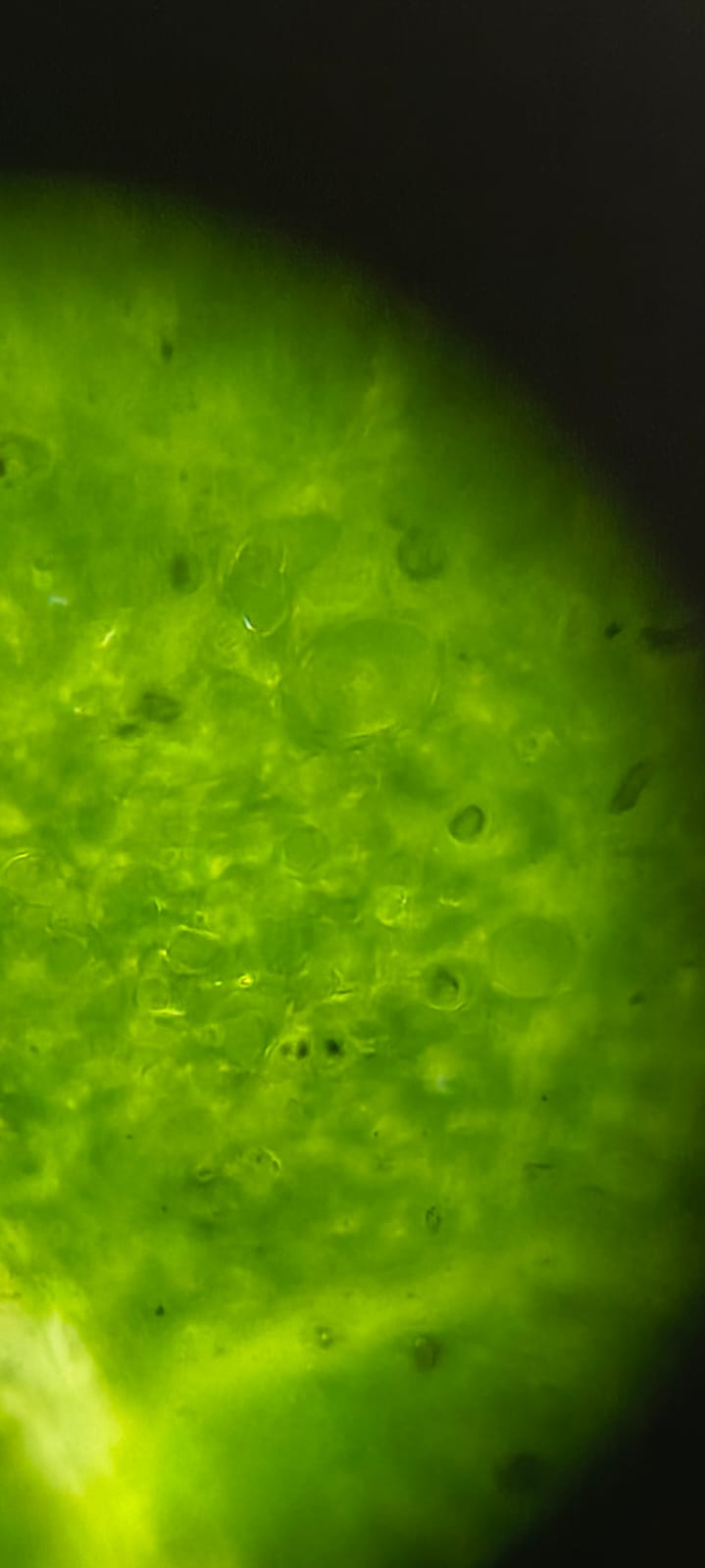 post_media%2FRLtaZ7G5dYVsQBEK1aVoW62cAxl1%2Fm7E4DRmgImkfDgHqO2Dw%2F5rgnysiijf_1000214638.jpg?alt=media&token=968ebef7-70ac-4e8c-b531-4ad016bd9efe