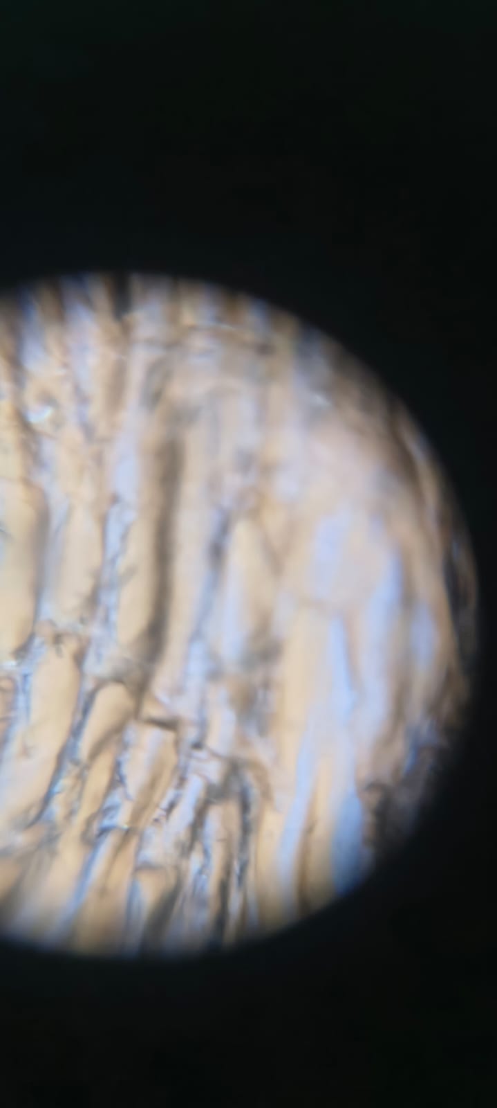 post_media%2FRLtaZ7G5dYVsQBEK1aVoW62cAxl1%2Fm7E4DRmgImkfDgHqO2Dw%2F91jwyb2ouo_1000214677.jpg?alt=media&token=26158cc2-58d8-4da3-99d4-3348f285c2e0