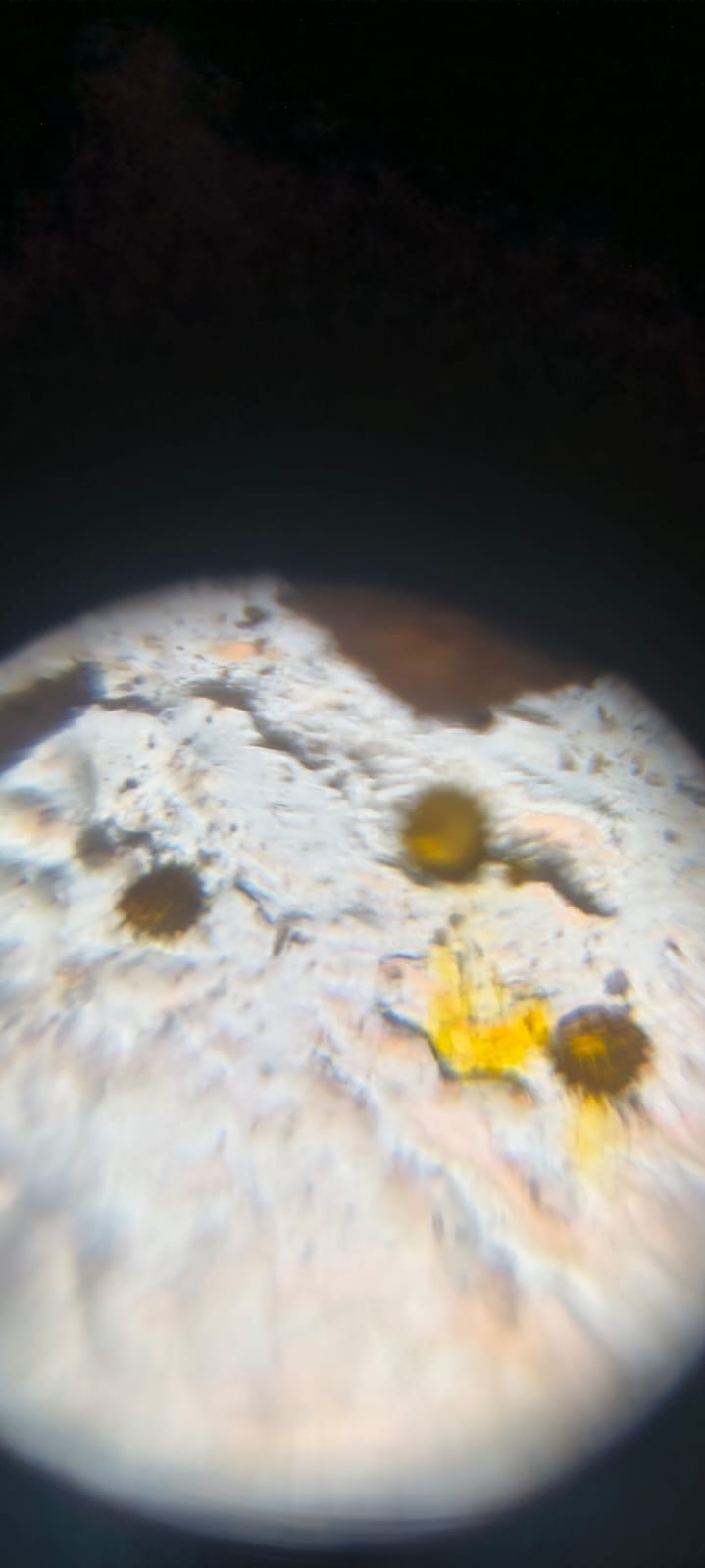 post_media%2FRLtaZ7G5dYVsQBEK1aVoW62cAxl1%2Fm7E4DRmgImkfDgHqO2Dw%2Fcerckwpkfq_1000214655.jpg?alt=media&token=eaa426d5-5ff0-421a-9c38-18b54ec185dd