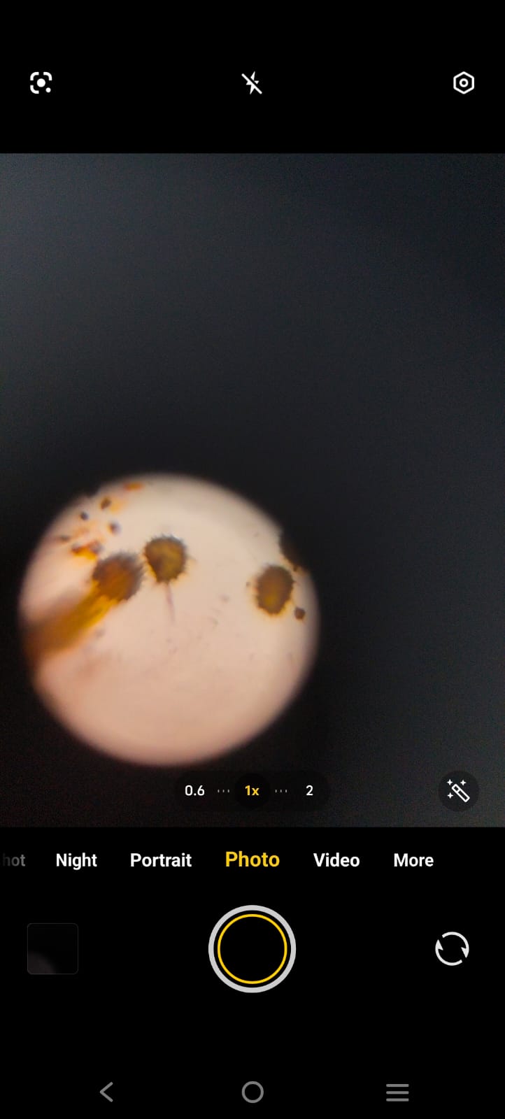 post_media%2FRLtaZ7G5dYVsQBEK1aVoW62cAxl1%2Fm7E4DRmgImkfDgHqO2Dw%2Fgwjur2isye_1000214620.jpg?alt=media&token=c4bf7645-7e95-4e86-8482-9fe0e2b32260