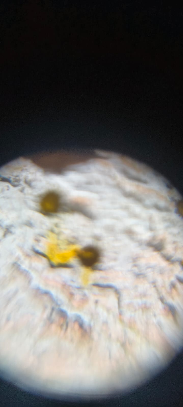 post_media%2FRLtaZ7G5dYVsQBEK1aVoW62cAxl1%2Fm7E4DRmgImkfDgHqO2Dw%2Fjpa6eb9x7x_1000214653.jpg?alt=media&token=6faae41d-c0f9-4a47-97d4-07ff6ec9aa62