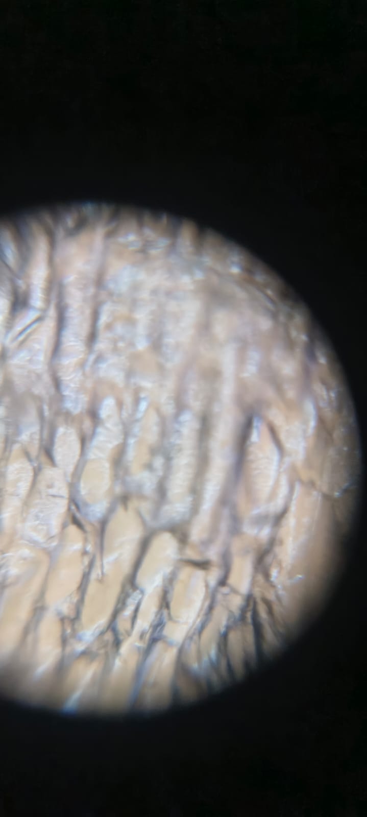 post_media%2FRLtaZ7G5dYVsQBEK1aVoW62cAxl1%2Fm7E4DRmgImkfDgHqO2Dw%2Fn2a8st6tny_1000214675.jpg?alt=media&token=f7c42ba7-a051-4331-b466-c313e352cedb