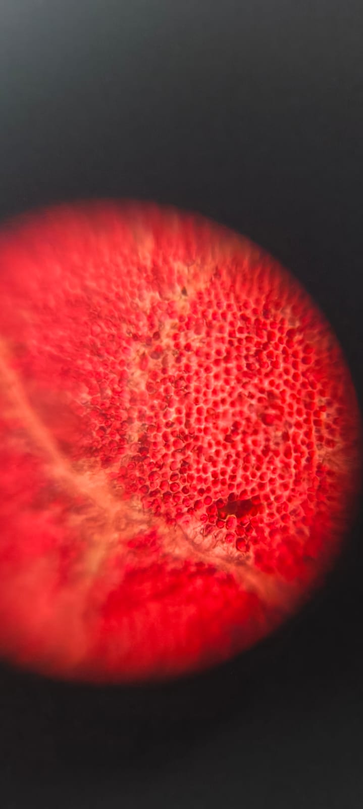 post_media%2FRLtaZ7G5dYVsQBEK1aVoW62cAxl1%2Fm7E4DRmgImkfDgHqO2Dw%2Fuon83f9tgh_1000214666.jpg?alt=media&token=1d697f65-cf16-4923-af30-698b74214e7c