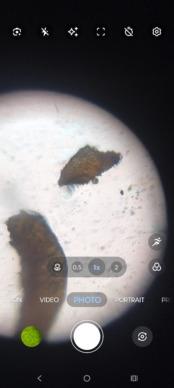 post_media%2FRLtaZ7G5dYVsQBEK1aVoW62cAxl1%2Fm7E4DRmgImkfDgHqO2Dw%2Fzi6qckldqi_1000214661.jpg?alt=media&token=386d05f3-1015-46aa-a344-2d27447065c8