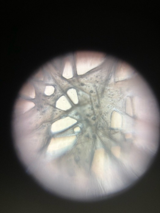 post_media%2FS1FZPd3fuZX1TeFGnPSrBkV7QCp2%2Fnmf1BddWqUNraPdvxwrw%2Fo1atnlno4m_Fresh%20Dryer%20Sheet.jpg?alt=media&token=17503f45-4d94-4caa-b2f6-0cfce6da615b