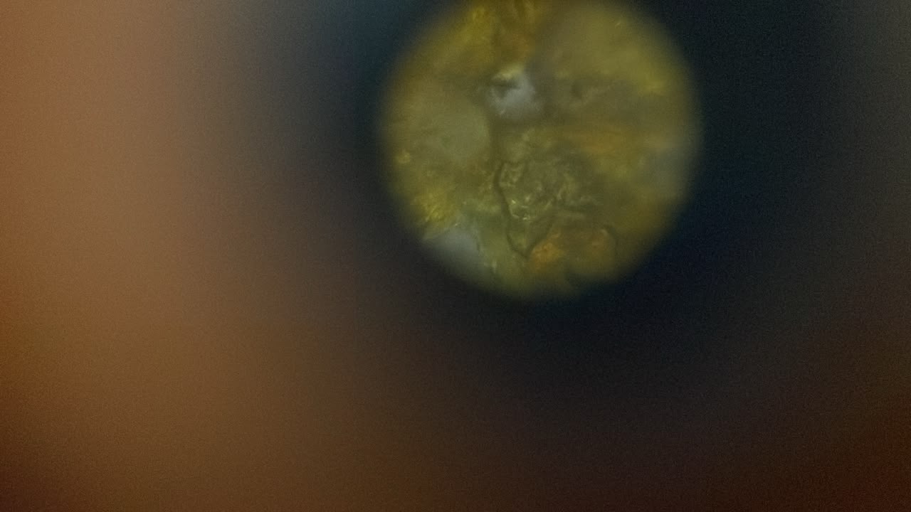 post_media%2FSmmivcJrPTRikVTUxyxxV7lcSbw2%2Fnopid%2Fhneb11b0kj_Pollen1340x4.jpeg?alt=media&token=3cfb00a9-5bdd-4caf-93d3-c350248a4368
