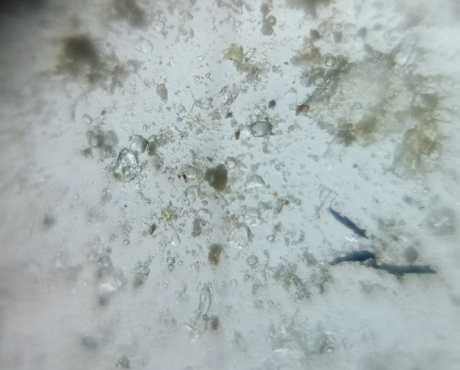 post_media%2FT5D1yLajbUdE27pDdHOVp4HRgpB2%2Fnopid%2F07yg610g3s_Mud%202%20Copy.jpg?alt=media&token=f87de5c9-ac5c-4c36-baaf-a926e1294dd8