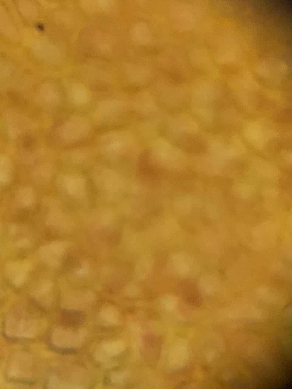 post_media%2FUtCh6R8t0GN0aeoeGwalbSQr6i22%2Fnopid%2Fo3rkjtlss9_WhatsApp%20Image%202026-06-03%20at%2021.42.56.jpeg?alt=media&token=dd3f7477-f3e9-4e09-a1db-1a65e282c7b4