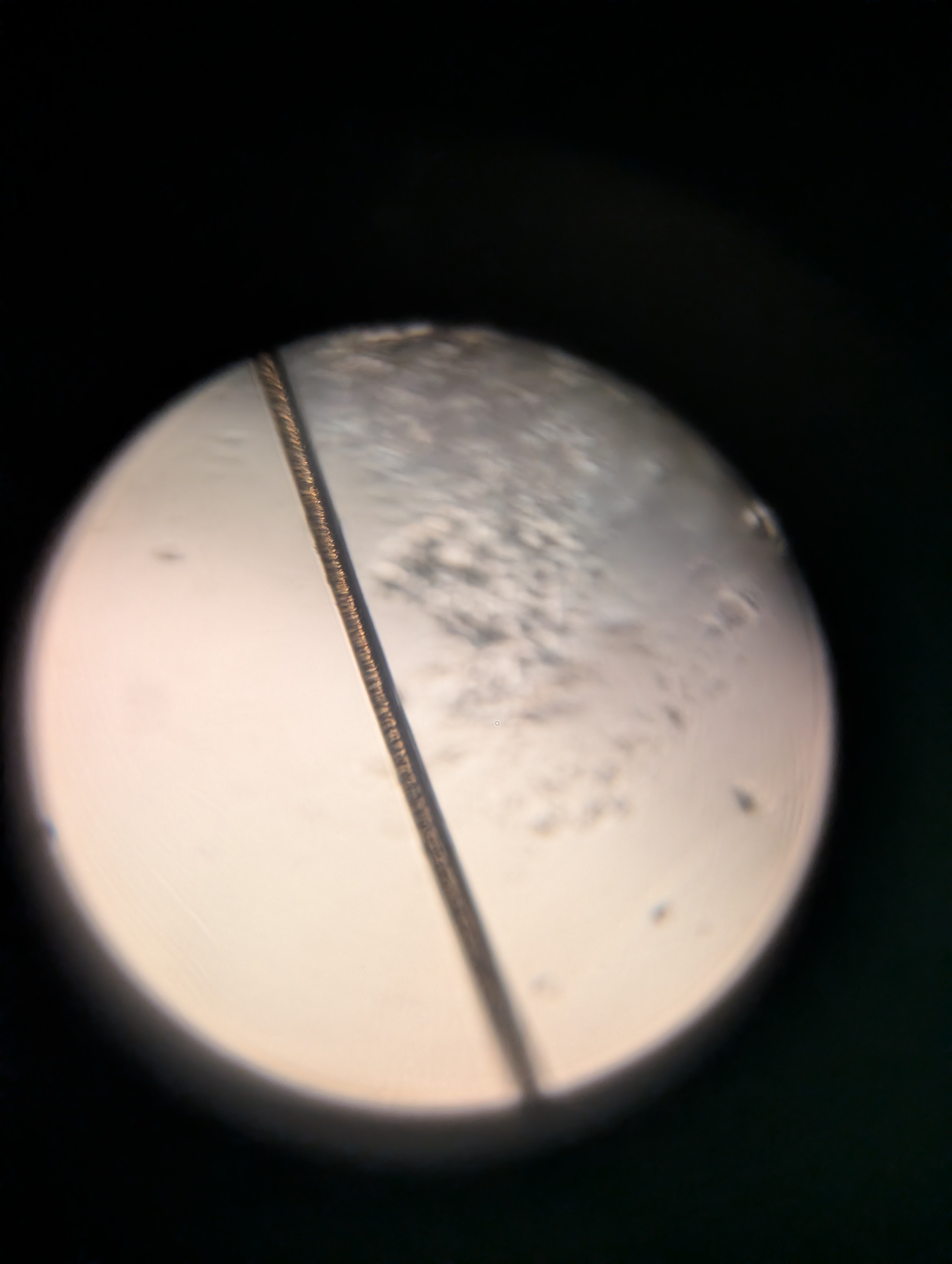 post_media%2FWqSZEF9HZGeECaexMRgfOGU6Aaa2%2Fnopid%2Fpbepdhttq1_1000023768.jpg?alt=media&token=7f1a0202-189e-4518-b023-28aed244961c