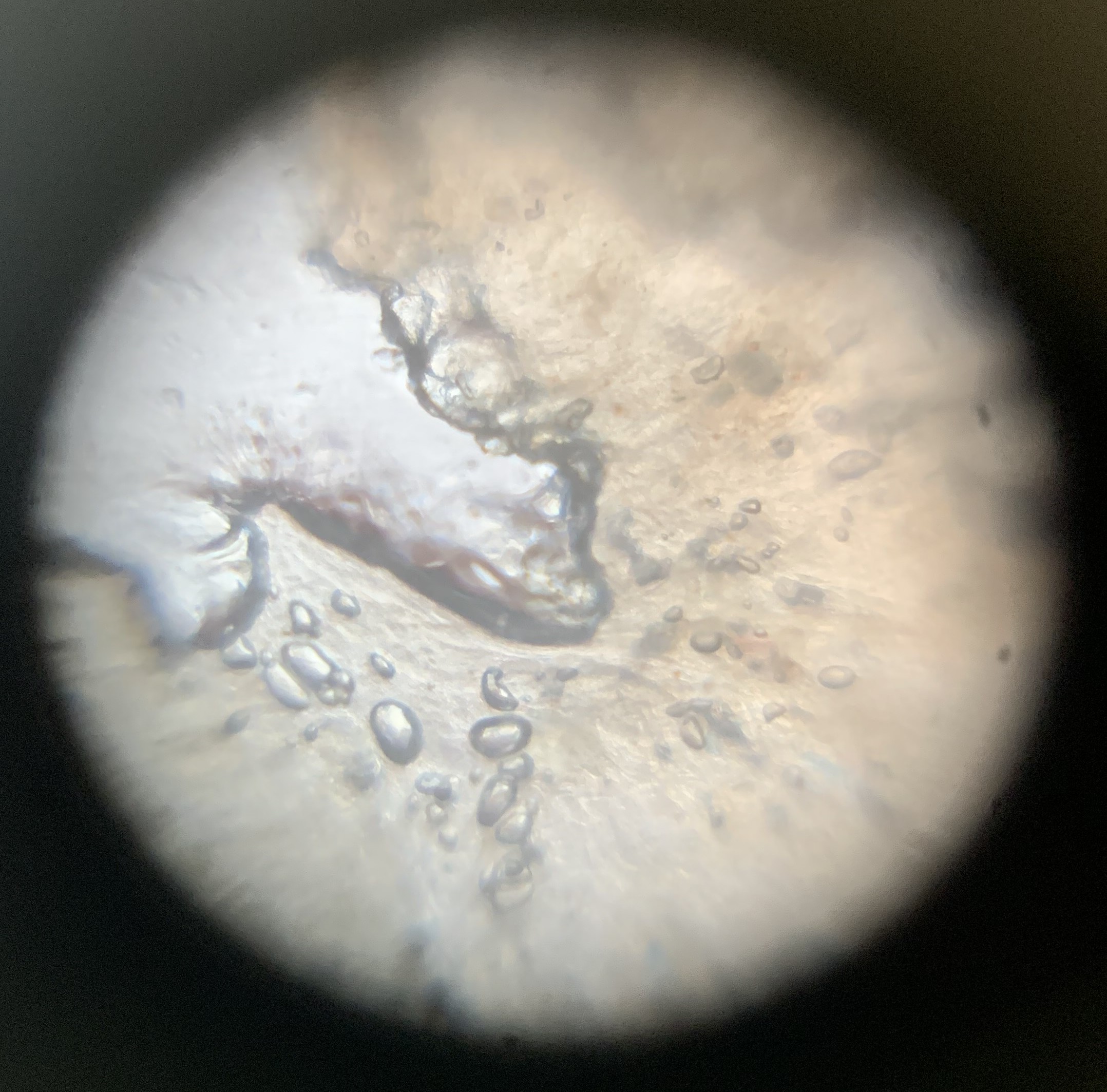 post_media%2FZHn7YhhlhyRHpLDHgVqHmkuTQmQ2%2Fnopid%2F4j2ba7x5bg_IMG_7885.jpg?alt=media&token=96f7fab9-03ec-416d-bcfe-e2a2cbf5b8f0