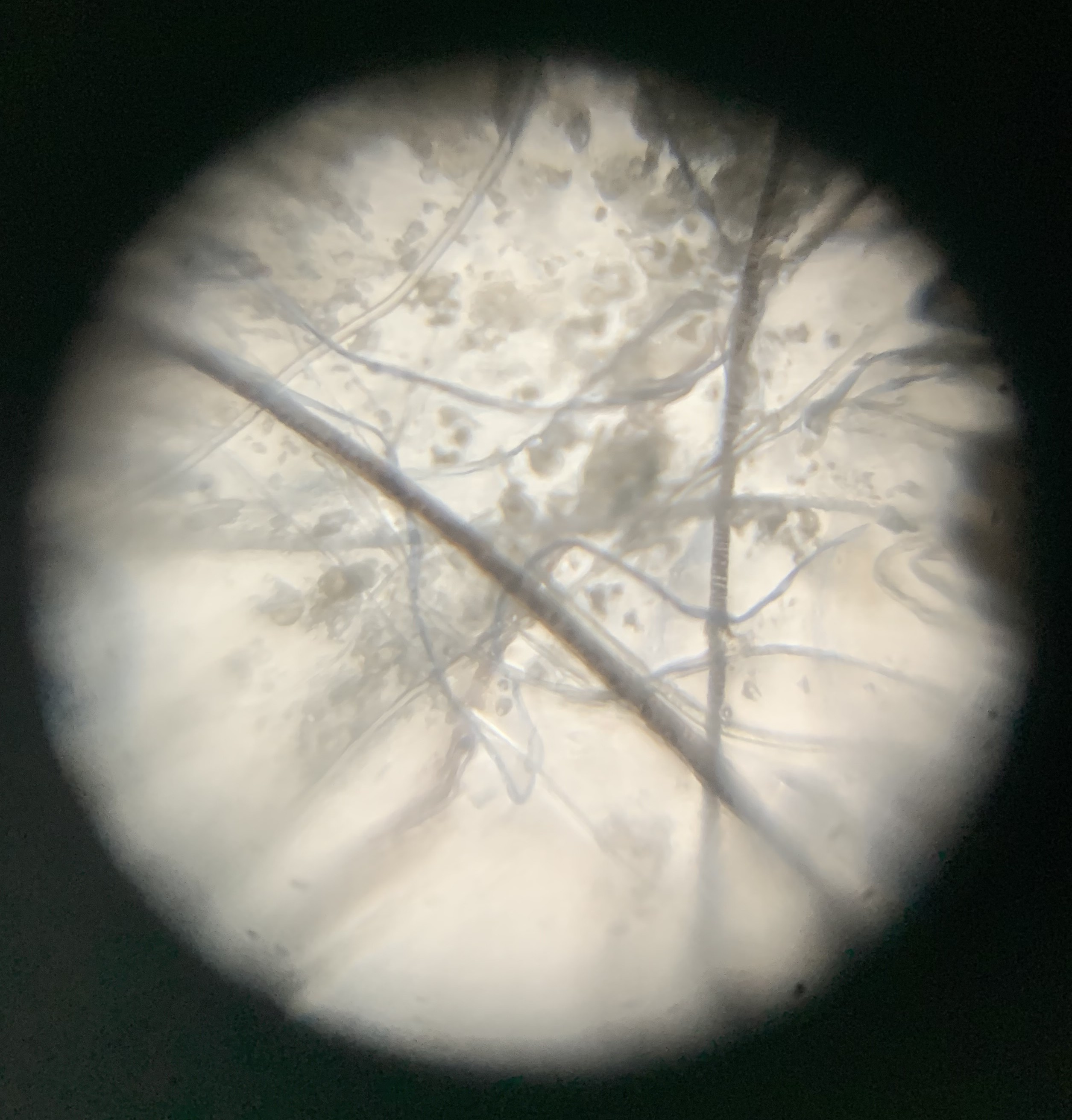 post_media%2FZHn7YhhlhyRHpLDHgVqHmkuTQmQ2%2Fnopid%2F4z87te2ewm_IMG_7884.jpg?alt=media&token=82dcaa25-a7ac-4e2c-a0d8-c489e27c0620