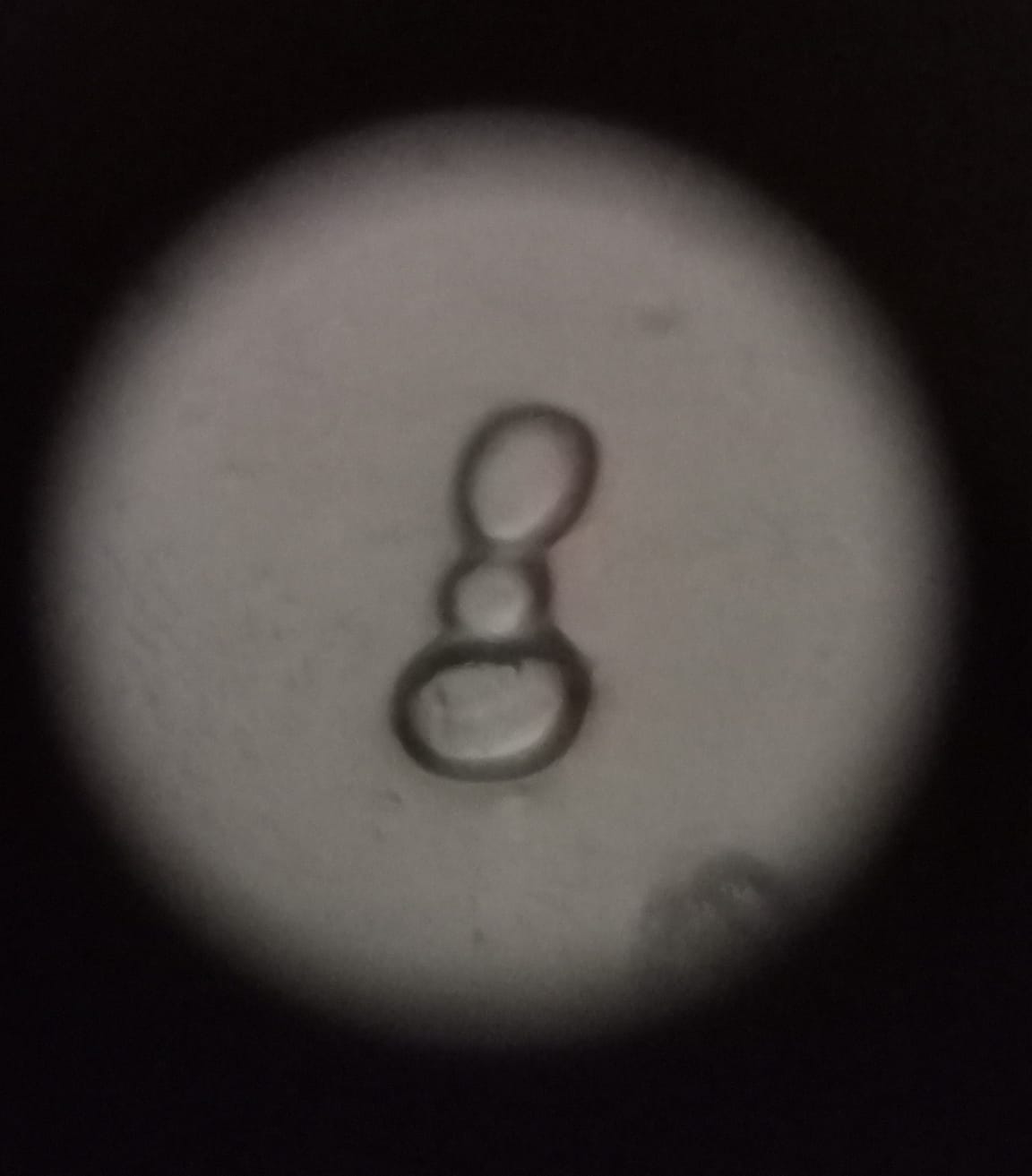 post_media%2FZjmPJQi9QYfGHDwzgwP3YaRfgsG2%2Fnopid%2Flxisls6klu_Isolated%20Potato%20Triplets%20at%20340x.jpeg?alt=media&token=f60f9a3f-2d89-4628-9b41-4ce3f3db0549
