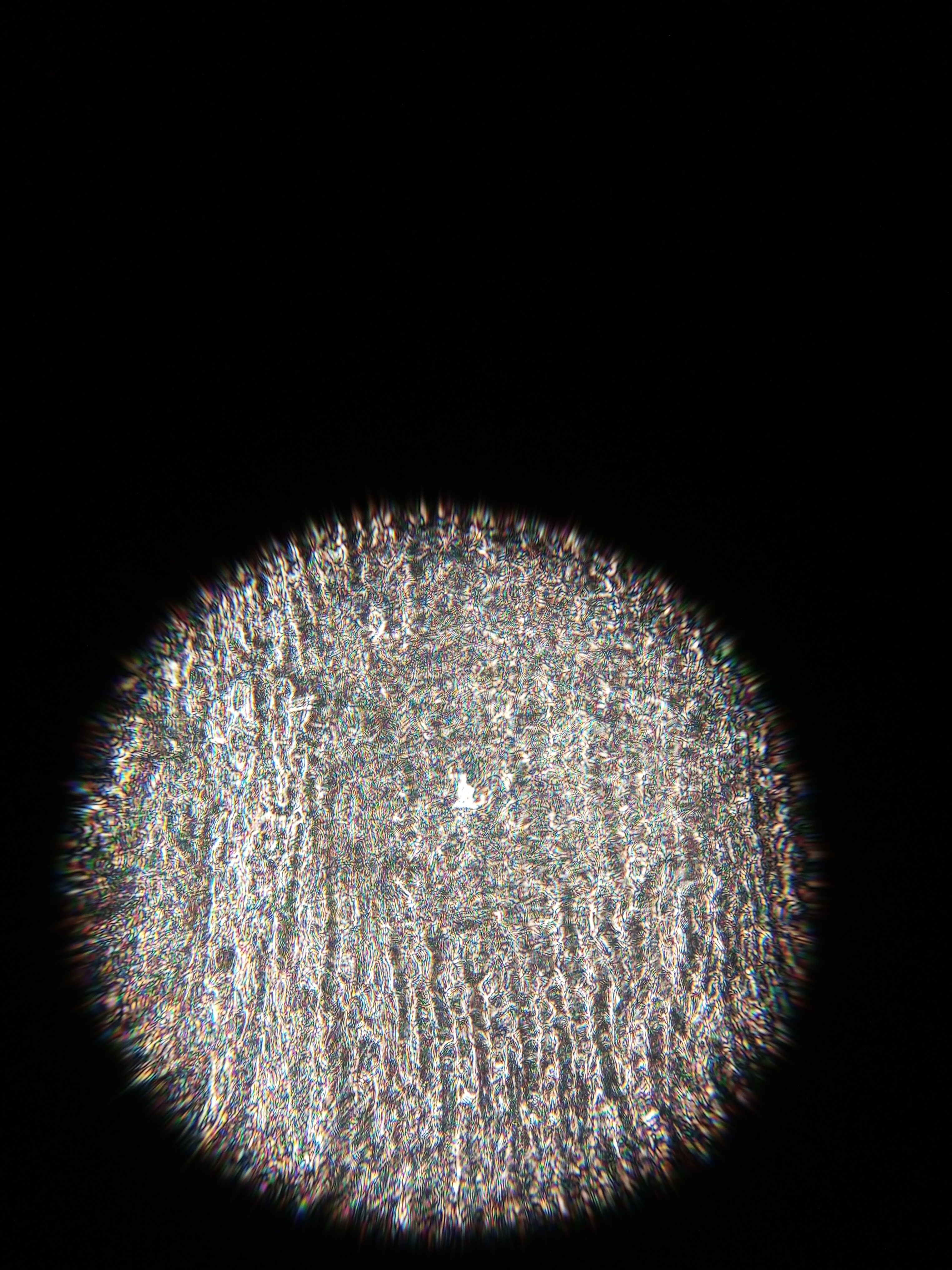 post_media%2FavflyVC6PmRlWl885A3qAW8VU3v1%2F6vfzmnRKTNQV6GUdVDxj%2Flua0m61wk8_IMG_20241231_115109_983.jpg?alt=media&token=17a8631a-4a3c-4509-b986-14e6b42f776f