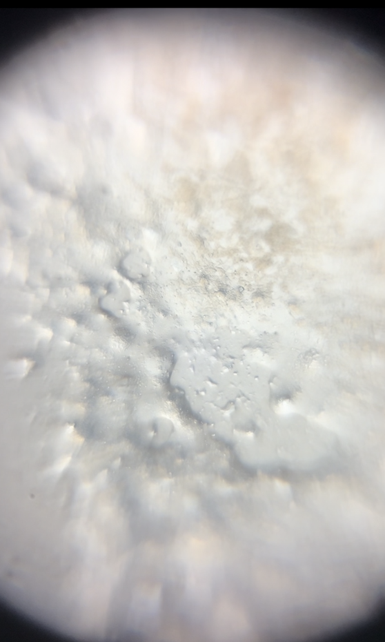 post_media%2FcRow1ykESUey4flMIdg8L2C95xU2%2FTp84oeKNne57aEmGpCga%2F27o0h4qmff_Screenshot%202026-04-03%20at%202.33.37%E2%80%AFPM.png?alt=media&token=caab7d2c-5bdd-4019-9815-ed091021b2ce