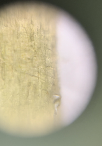 post_media%2FcRow1ykESUey4flMIdg8L2C95xU2%2FTp84oeKNne57aEmGpCga%2F6w6uaeeerv_Screenshot%202026-04-03%20at%202.34.16%E2%80%AFPM.png?alt=media&token=e2c1757f-7e20-40cb-9cd1-03fde7ab0b78