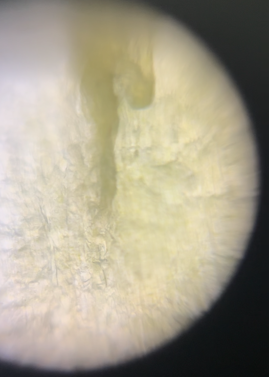 post_media%2FcRow1ykESUey4flMIdg8L2C95xU2%2FTp84oeKNne57aEmGpCga%2Fwcfa8z7dem_Screenshot%202026-04-03%20at%202.34.06%E2%80%AFPM.png?alt=media&token=37c79d3e-9942-4e0f-97c9-d18a4f4208c6