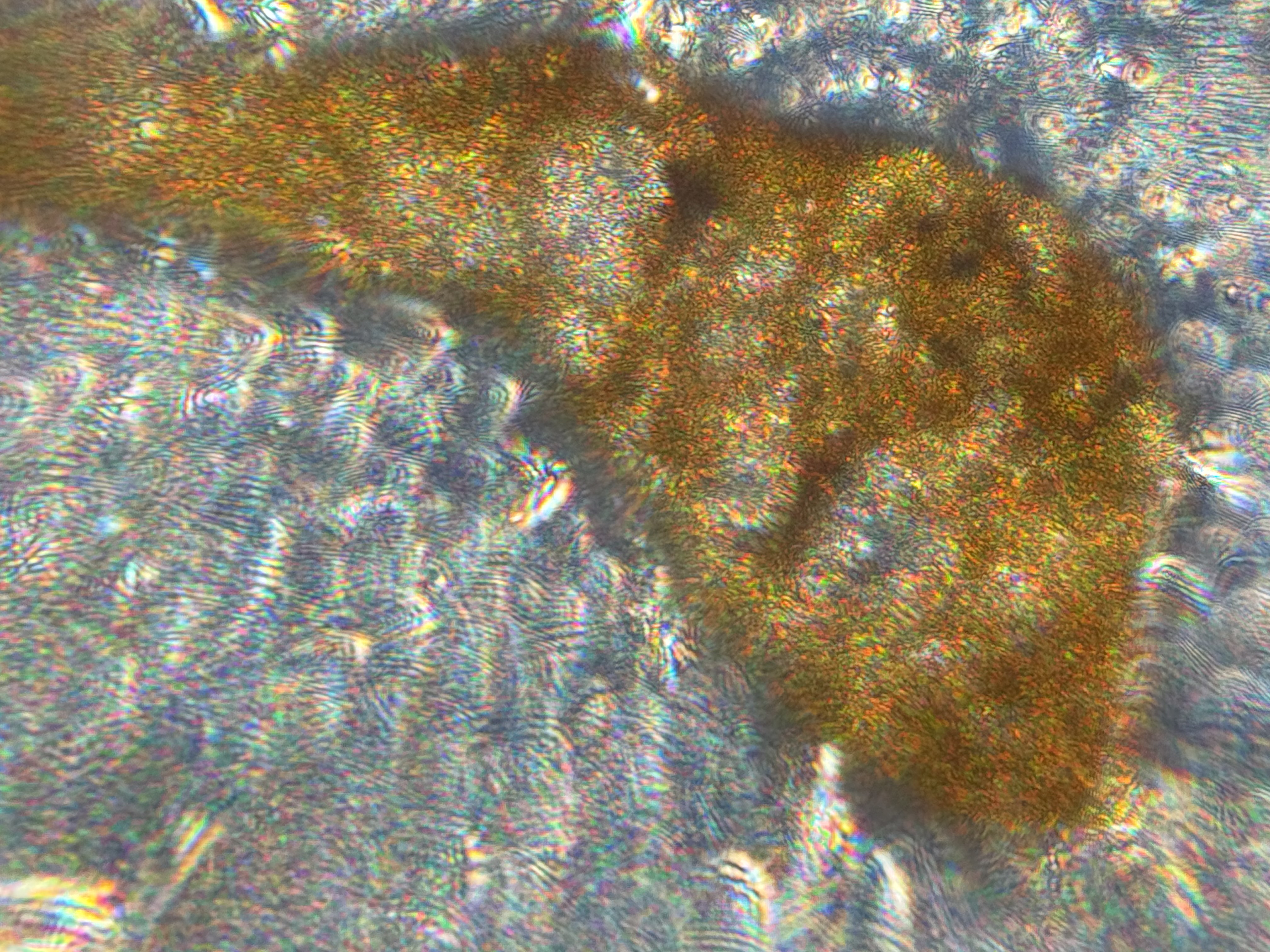 post_media%2Fcx1euu0hYsZhA7hM6hKCYU20MK02%2FwopaBgn8iUrInK1IsZB7%2F88apekejjl_IMG_3782.jpeg?alt=media&token=e00f9293-2fd0-4d9e-a312-933a05b55e38