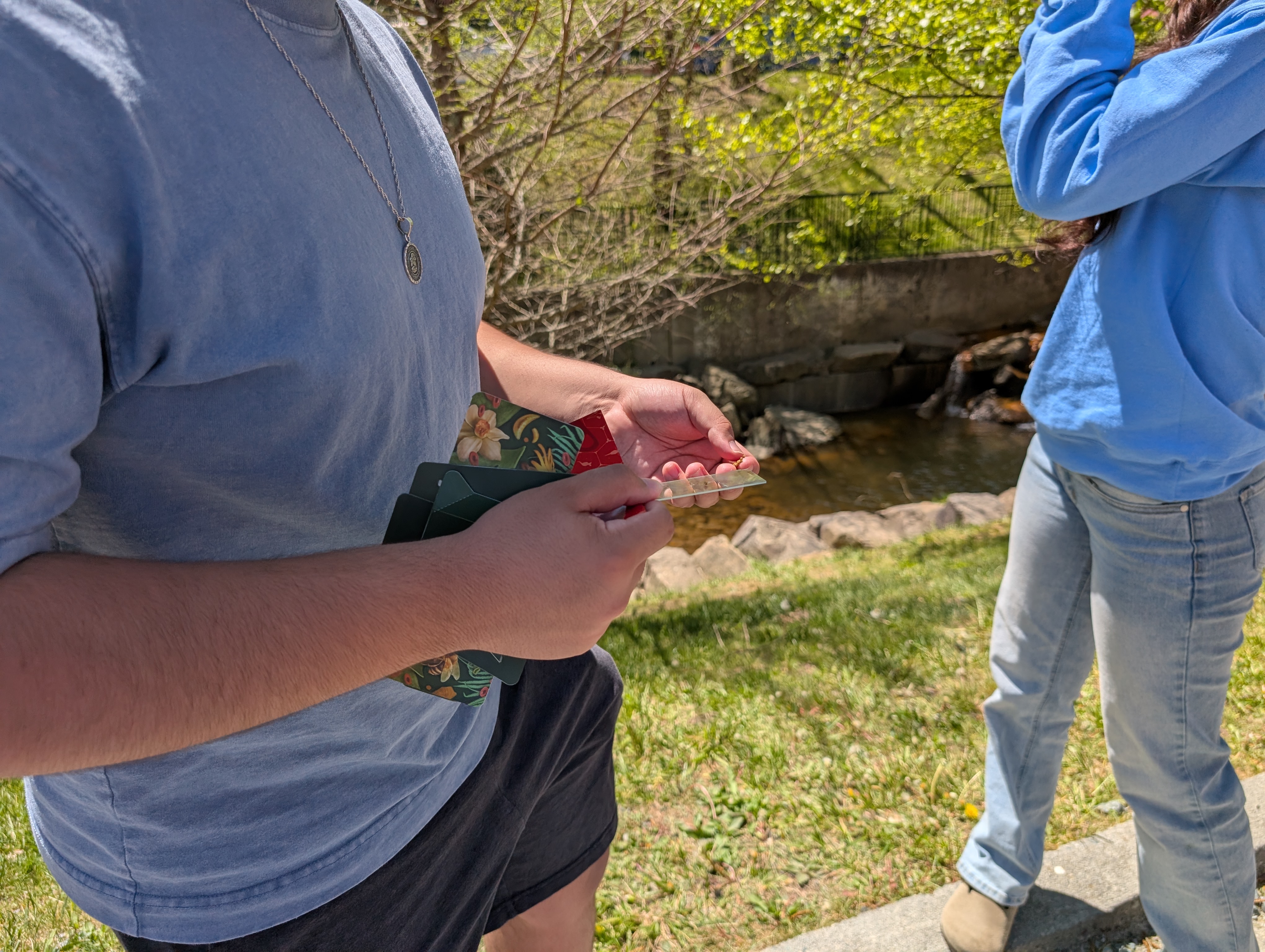 post_media%2Fcx1euu0hYsZhA7hM6hKCYU20MK02%2FwopaBgn8iUrInK1IsZB7%2Fechdwjykdy_PXL_20260415_180603096.jpg?alt=media&token=fa9ecd63-0a6e-4c2b-b5c8-6d4bcf5d7de5