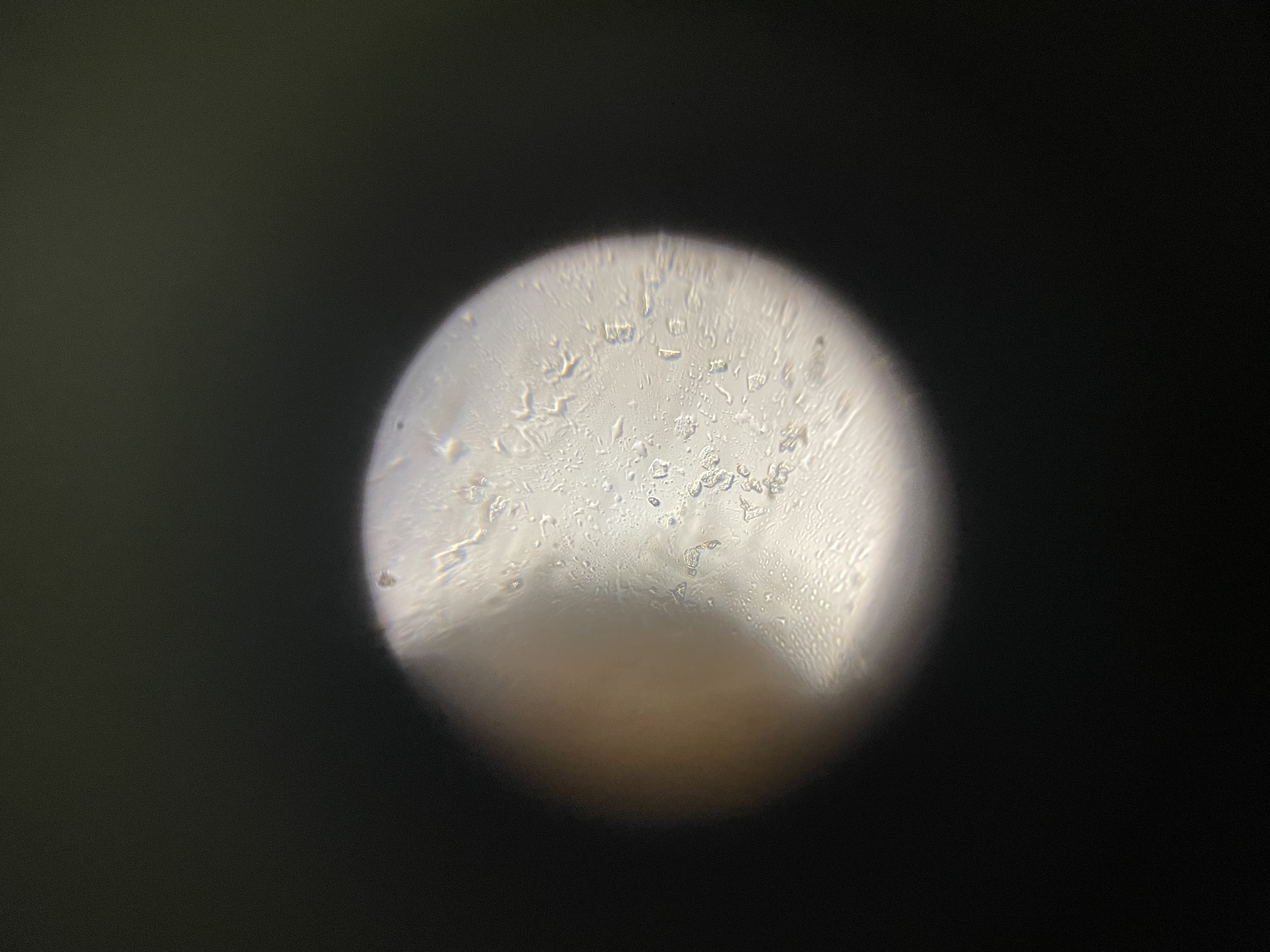 post_media%2Fcx1euu0hYsZhA7hM6hKCYU20MK02%2FwopaBgn8iUrInK1IsZB7%2Fscj4hfm526_IMG_4818.jpeg?alt=media&token=d9c4c699-d7e6-43c7-954e-276fe75aae4c