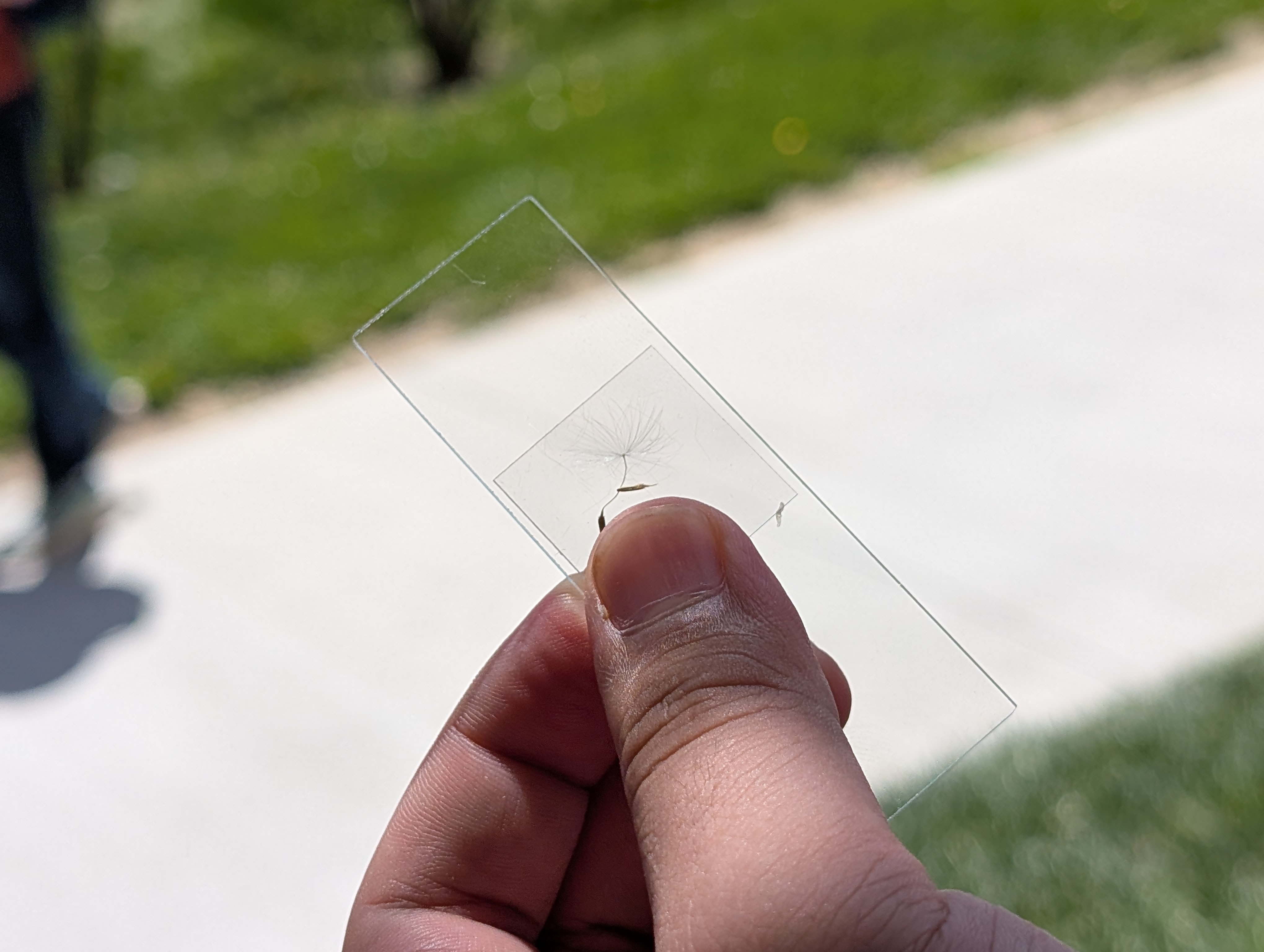 post_media%2Fcx1euu0hYsZhA7hM6hKCYU20MK02%2FwopaBgn8iUrInK1IsZB7%2Ftdn8ly4asn_PXL_20260415_175229276.jpg?alt=media&token=6b14e473-3a16-47e8-afea-c37ebd1b7f4c