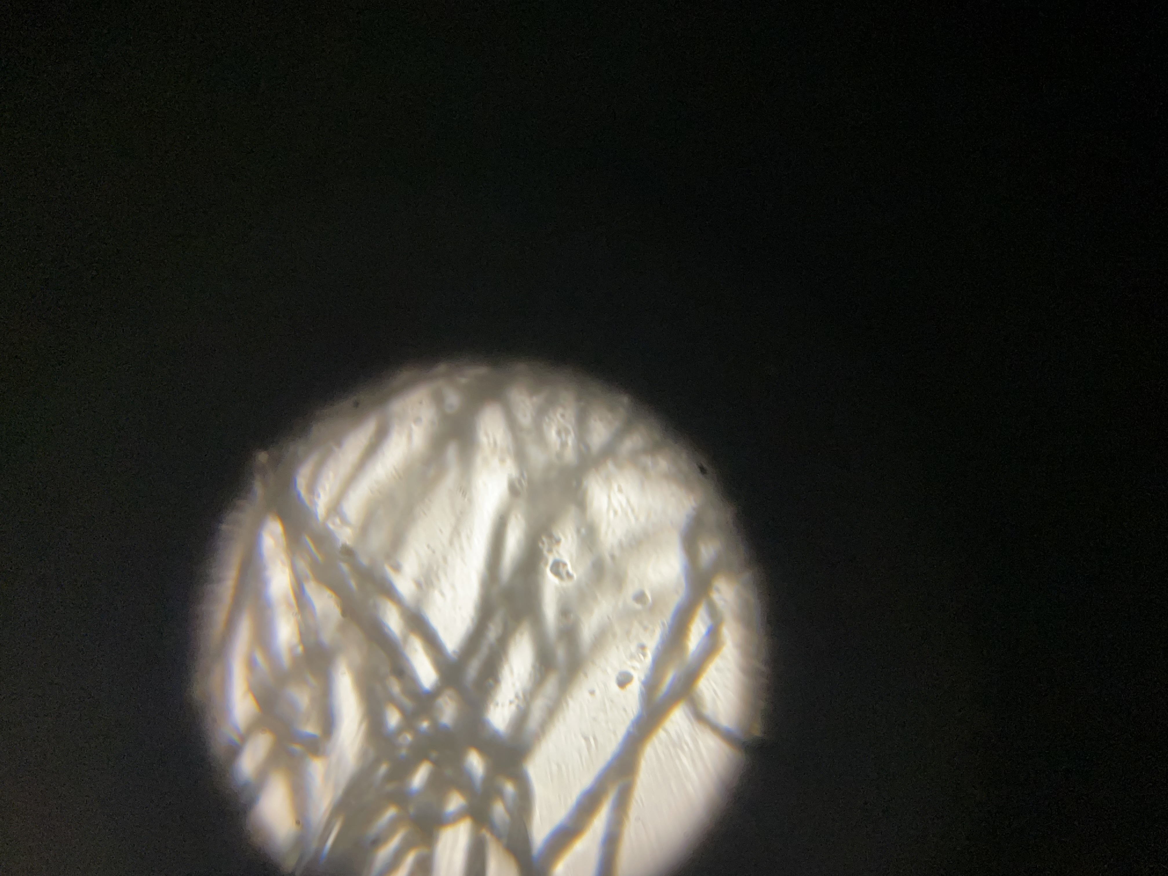 post_media%2Fcx1euu0hYsZhA7hM6hKCYU20MK02%2FwopaBgn8iUrInK1IsZB7%2Fzvh2eypl15_IMG_4821.jpeg?alt=media&token=be97964e-223d-4210-a310-e2b049d3c81f