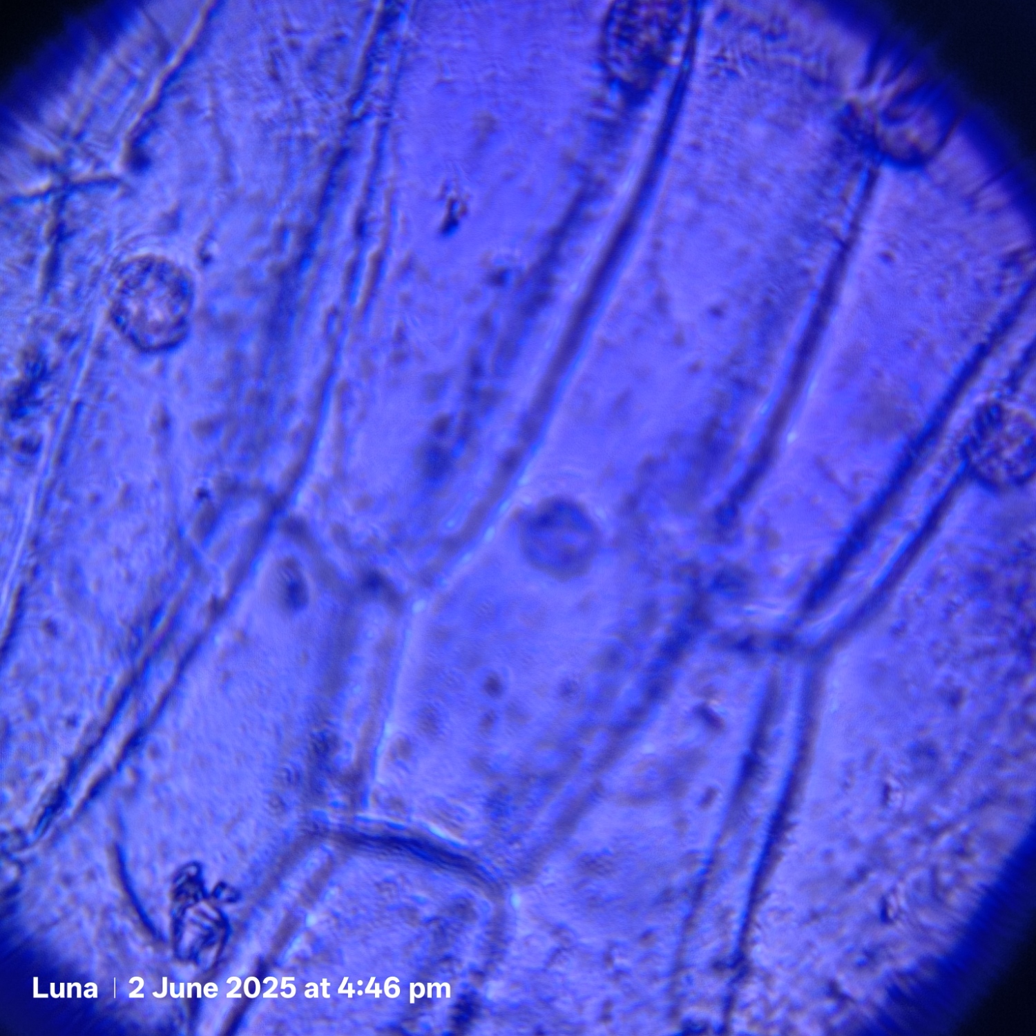 post_media%2Fd9QxYtCDLzVZ6fTbsXh37JuZikR2%2Fnopid%2Fa1klk99mji_op1.jpg?alt=media&token=0f9d5c5f-9238-44c4-8f62-0d21fb825e13