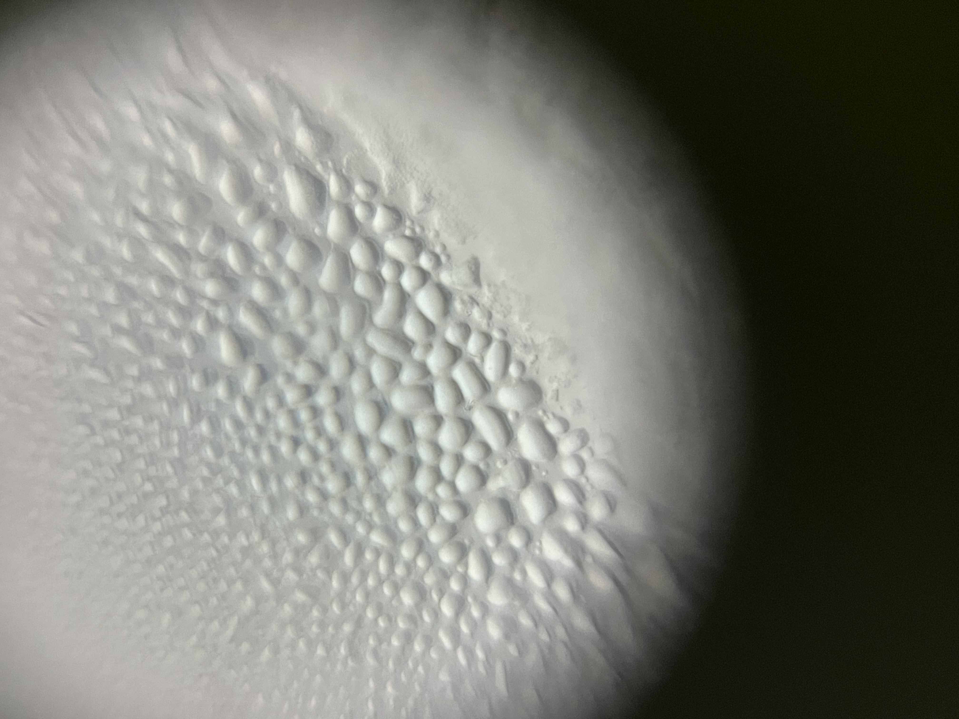 post_media%2FdIS6H6G53HgJMSwwvCLBPQJYOV12%2Fnopid%2Ftqkg3tt5o9_IMG_1302.jpeg?alt=media&token=2f92c56e-3b32-4b52-a1c2-773c9aebe4c6