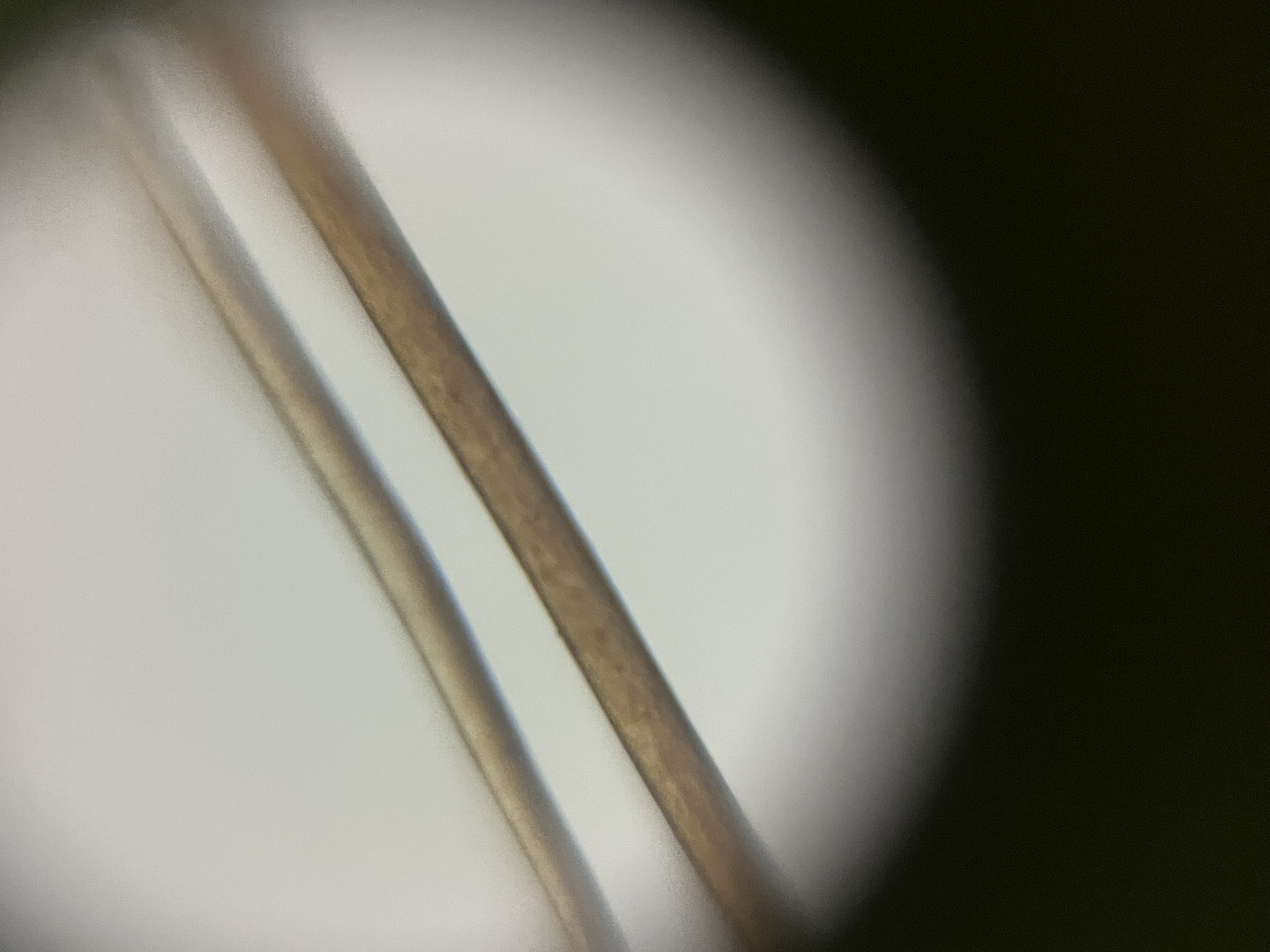 post_media%2FdIS6H6G53HgJMSwwvCLBPQJYOV12%2Fnopid%2Fx8imuxcuuc_IMG_1311.jpeg?alt=media&token=5281ab74-cfdf-4336-8878-98939af1f538