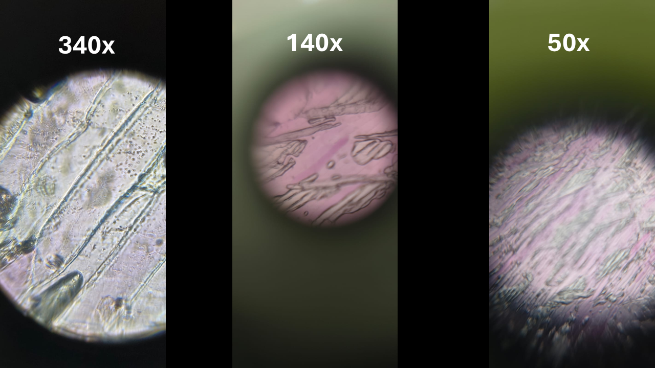 post_media%2FdRH4u1lCPcQWKrqdWwwznpkEcG02%2Fnopid%2Fvk825mzun7_Onion%20Peel%20Compiled.png?alt=media&token=703d3525-53c3-4079-9d5f-d1422f228785