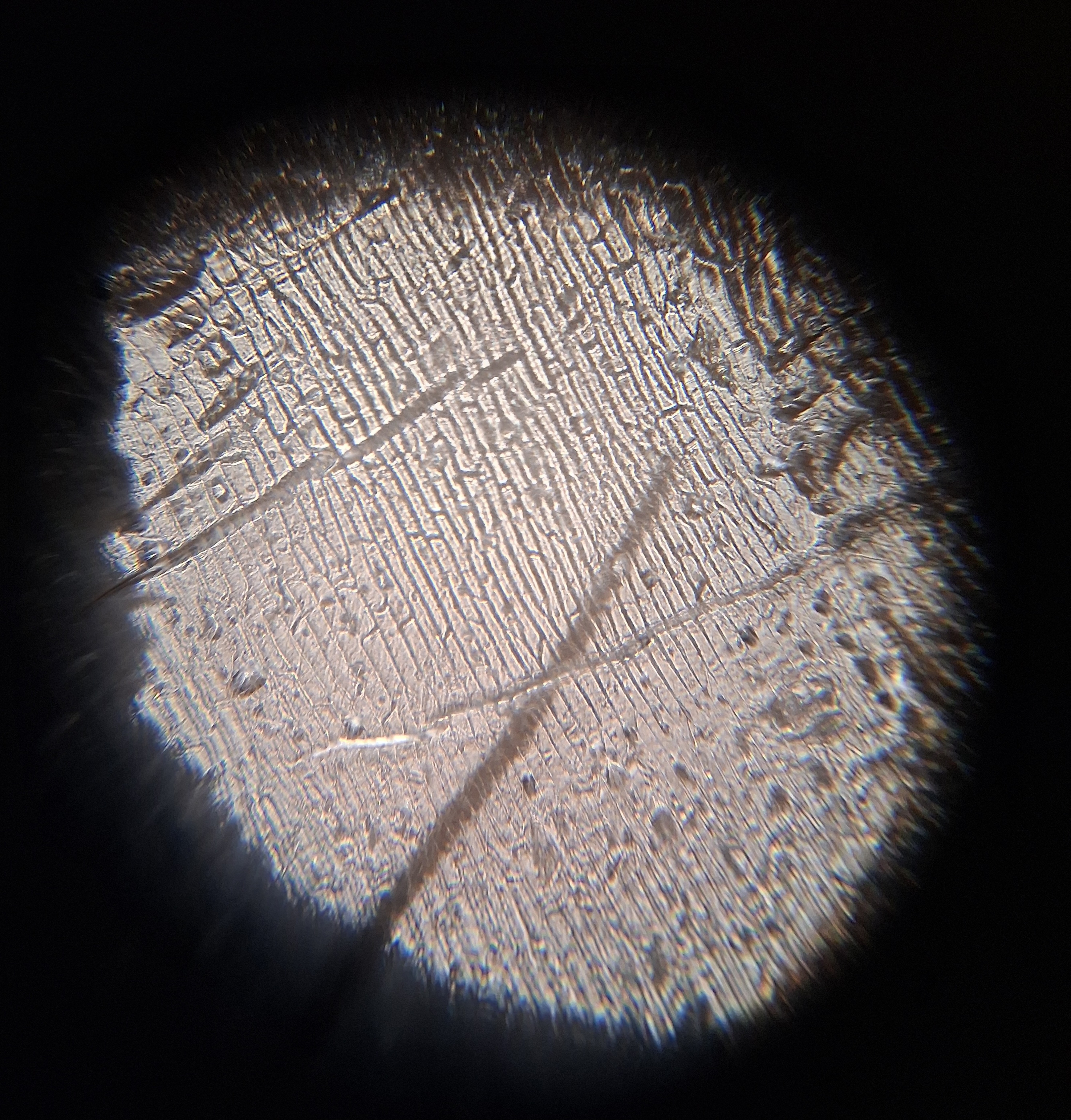post_media%2FdixqHcHt5dOqnzfZETdPLOrvlGO2%2Fnopid%2Fdyc9ziproh_1000001844.jpg?alt=media&token=7ef41d30-be9b-4305-b1b2-fd00f018298e