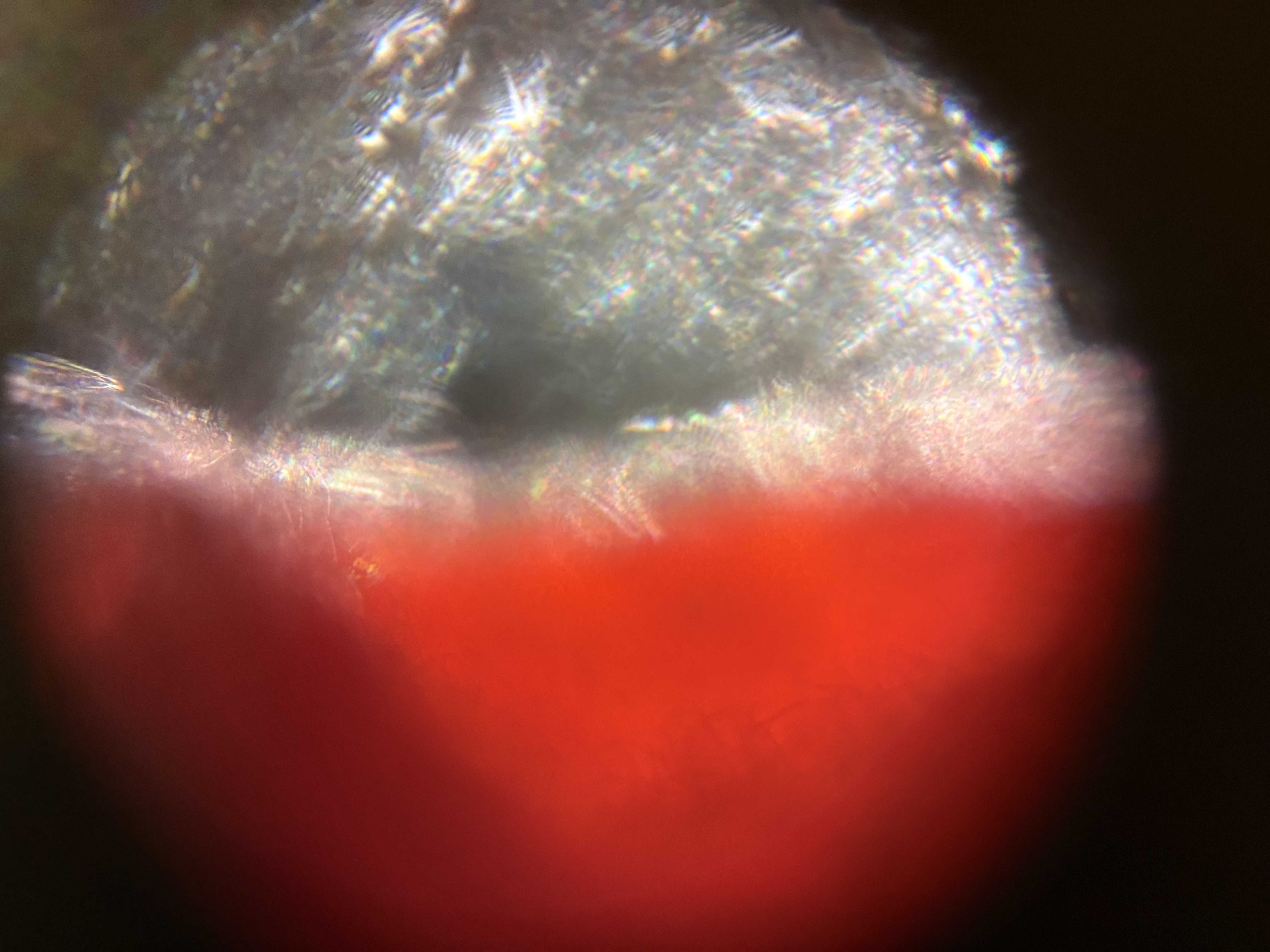 post_media%2FellwEdPdwJVCLeMETfXcGGETgnr1%2Fnopid%2Fgbb3jaqmxm_tempImageI5gJOh.jpg?alt=media&token=1e0690ad-c4fe-43c6-9e29-cd3fb69fca4c