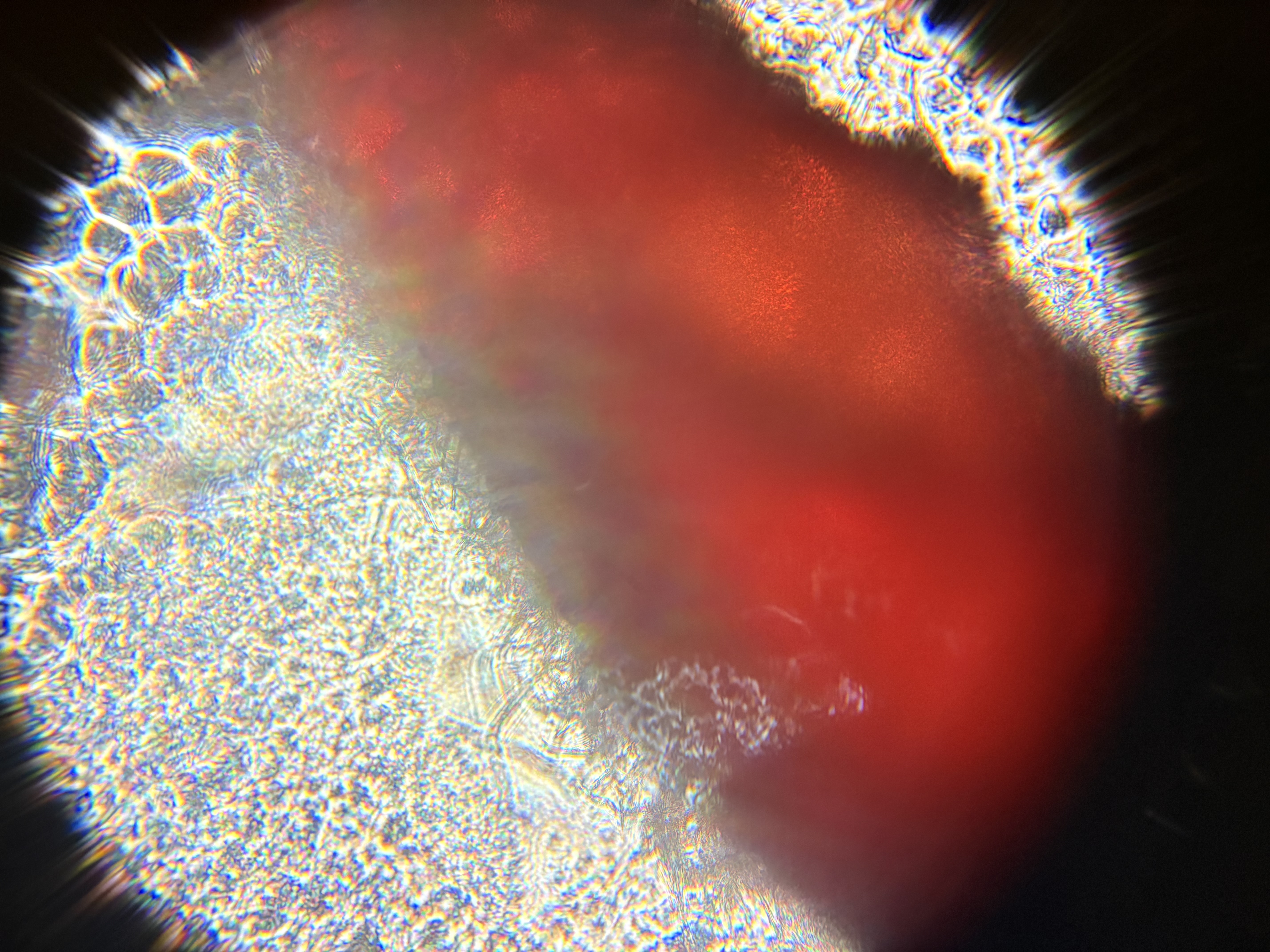 post_media%2FellwEdPdwJVCLeMETfXcGGETgnr1%2Fnopid%2Fv90i07ql64_tempImagepsN5g0.jpg?alt=media&token=6a876ea9-ae41-4ac0-9edf-2e6a4449f626