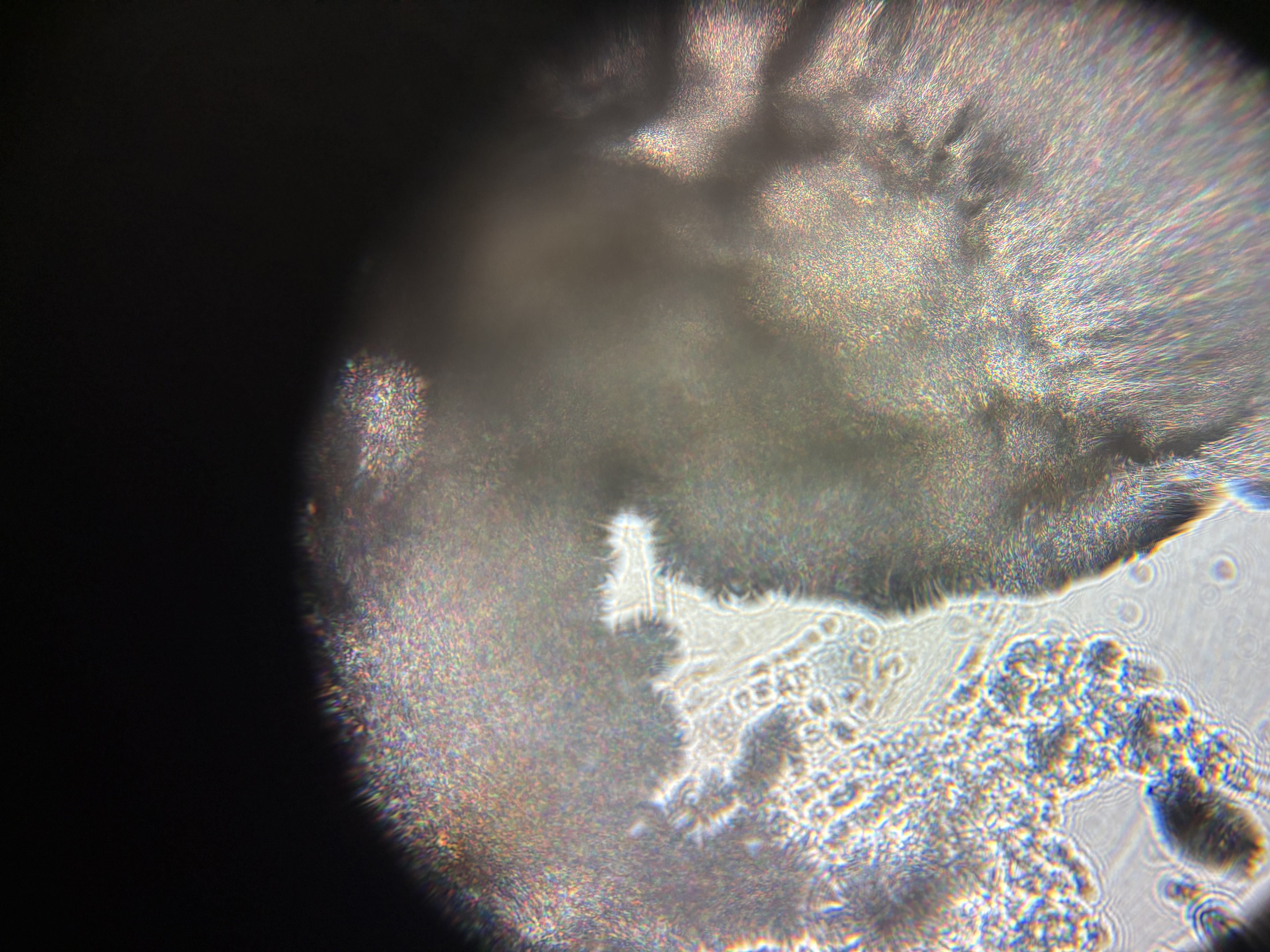 post_media%2FellwEdPdwJVCLeMETfXcGGETgnr1%2Fnopid%2Fxujf0z449w_tempImageSxod27.jpg?alt=media&token=3c623bd4-8245-49cc-83f7-d498c6b7ff4e