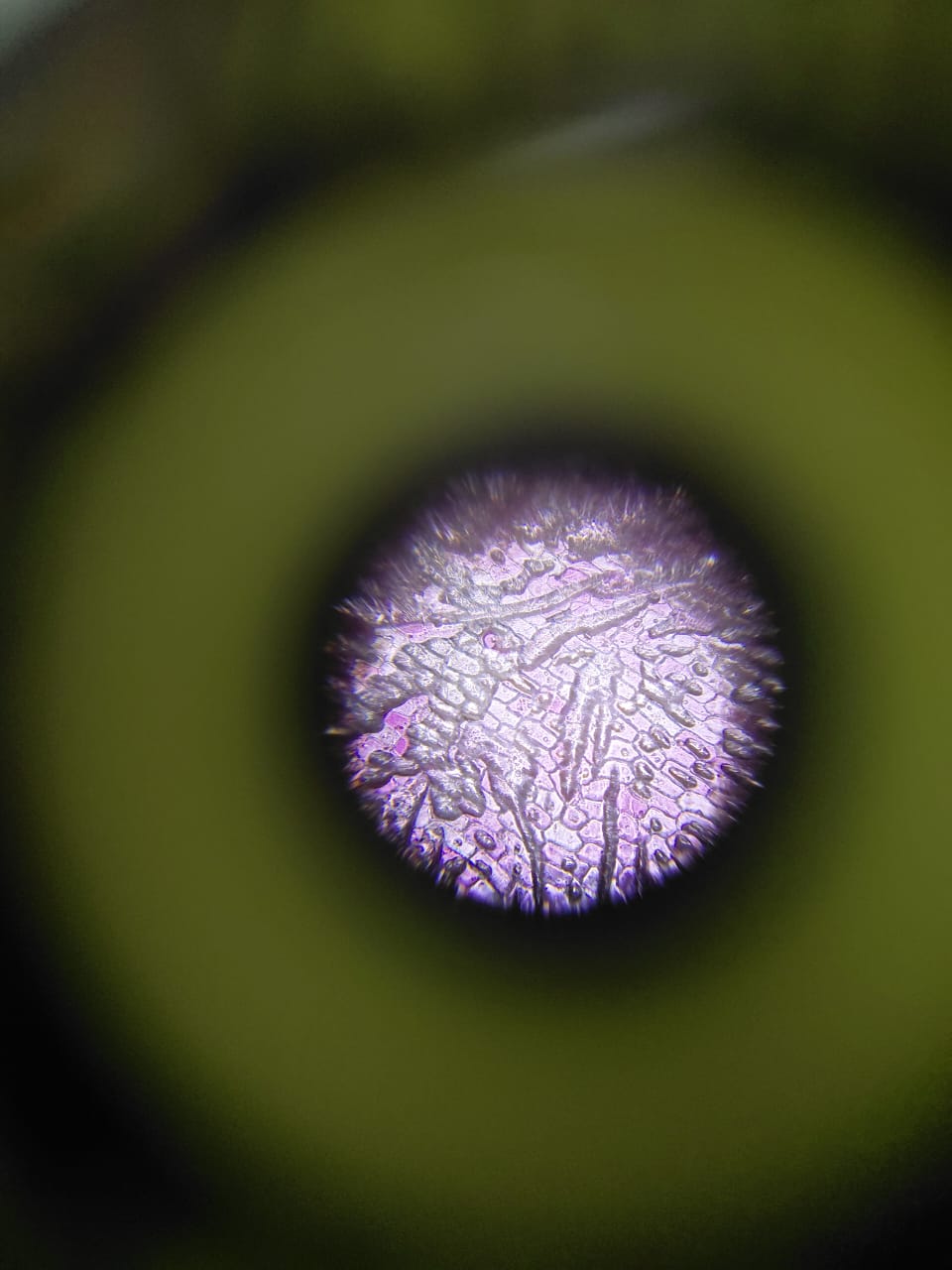 post_media%2FftoITH0z3jPntqppmMh9YSIjyk72%2F50qED3GCf9z1DXcFWeWP%2Ftt6uca8x4e_WhatsApp%20Image%202025-06-10%20at%2021.00.39_c179fab2.jpg?alt=media&token=ece7f9a3-0b03-4dca-9127-88837312fcbd