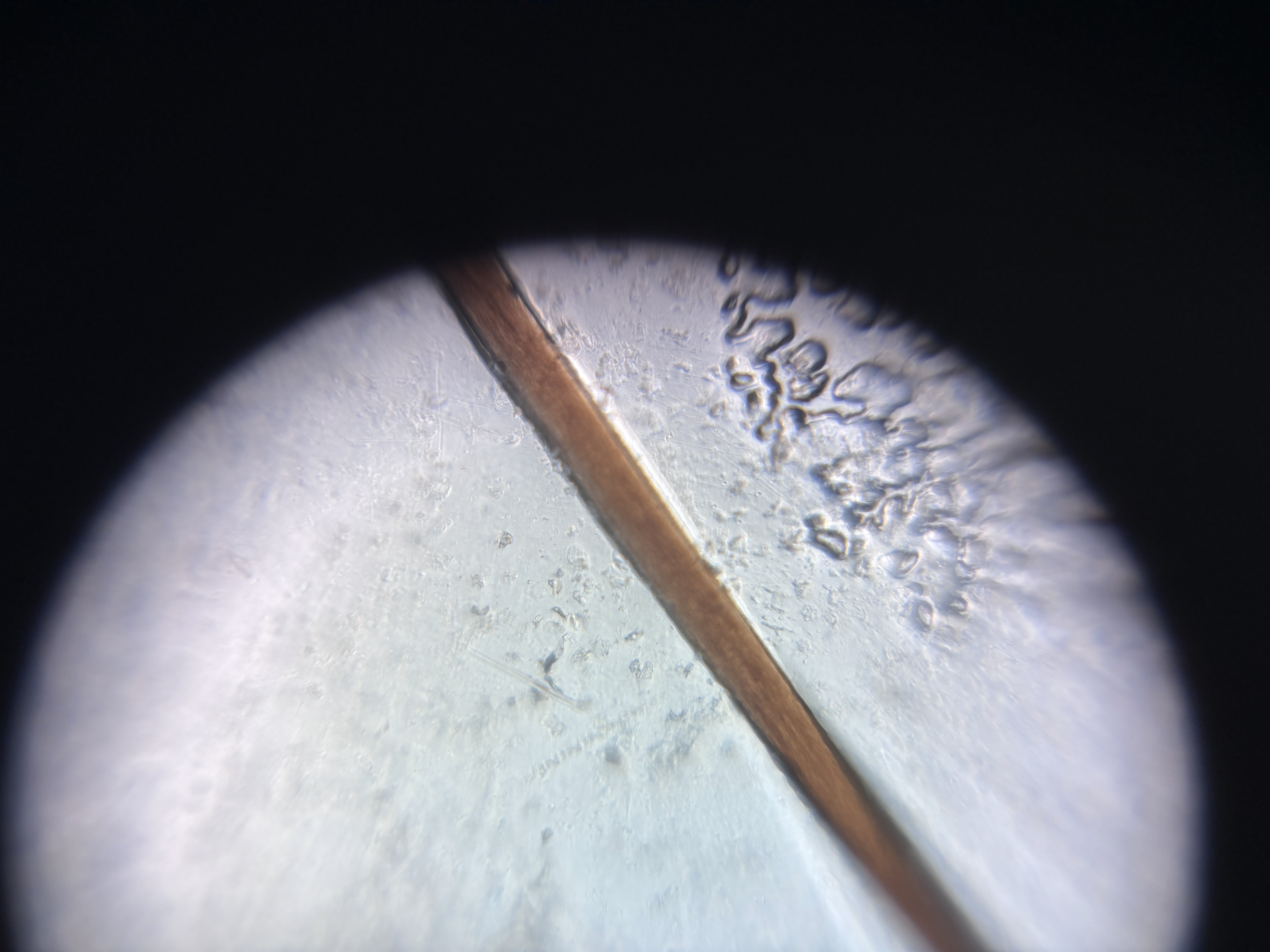 post_media%2FgVogTG5WfASN2bsZBEWMkM3Dk5T2%2F63NhuFXUpkE7XldeyA6V%2Fd9sjgsqtao_IMG_1606.jpeg?alt=media&token=4e73f230-190d-493e-a3ae-3f30f3431c31