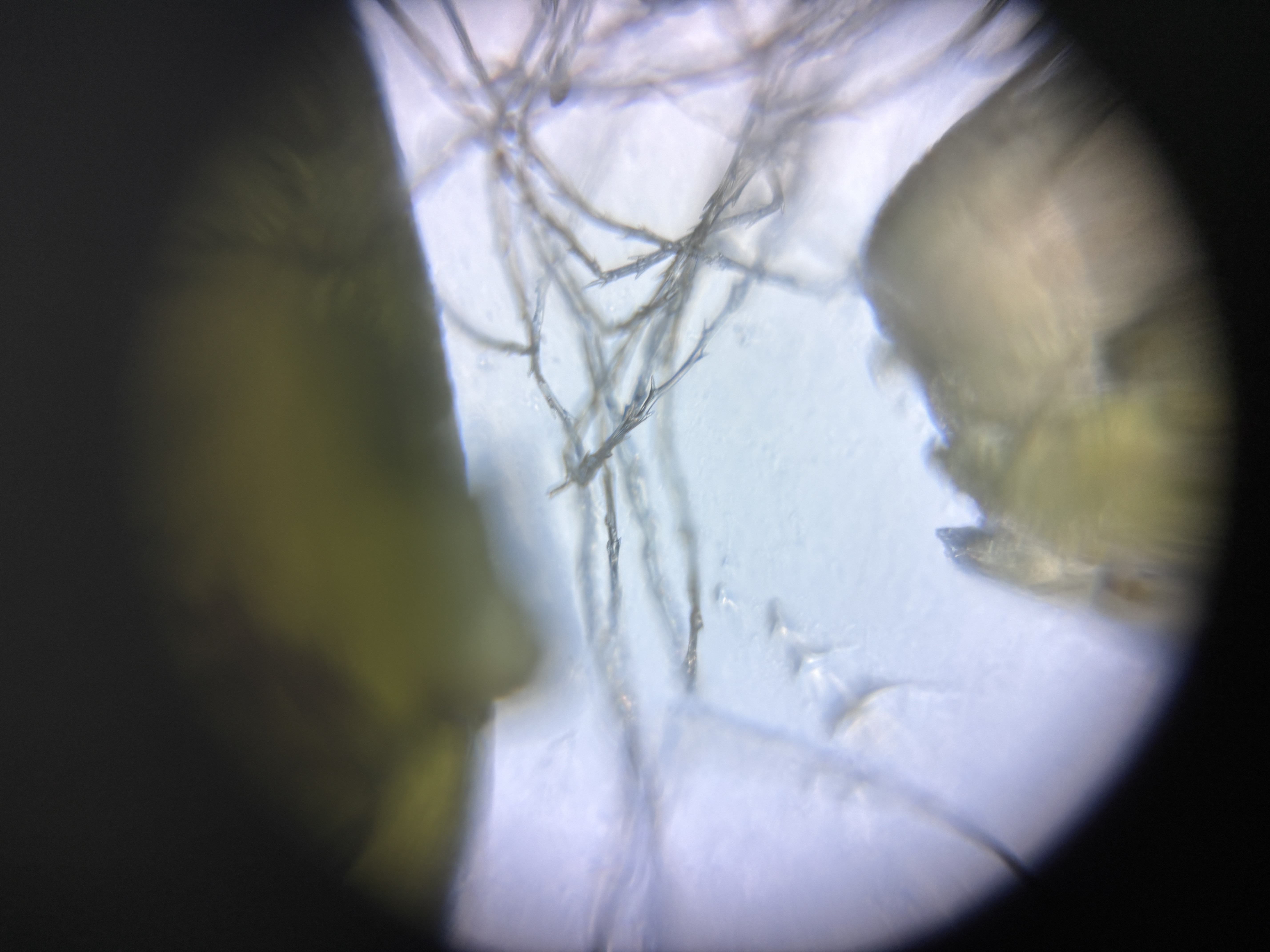 post_media%2FgVogTG5WfASN2bsZBEWMkM3Dk5T2%2F63NhuFXUpkE7XldeyA6V%2Fu9f43hhi5d_IMG_1604.jpeg?alt=media&token=91bc1048-6d96-43c3-834c-5199fd41076a