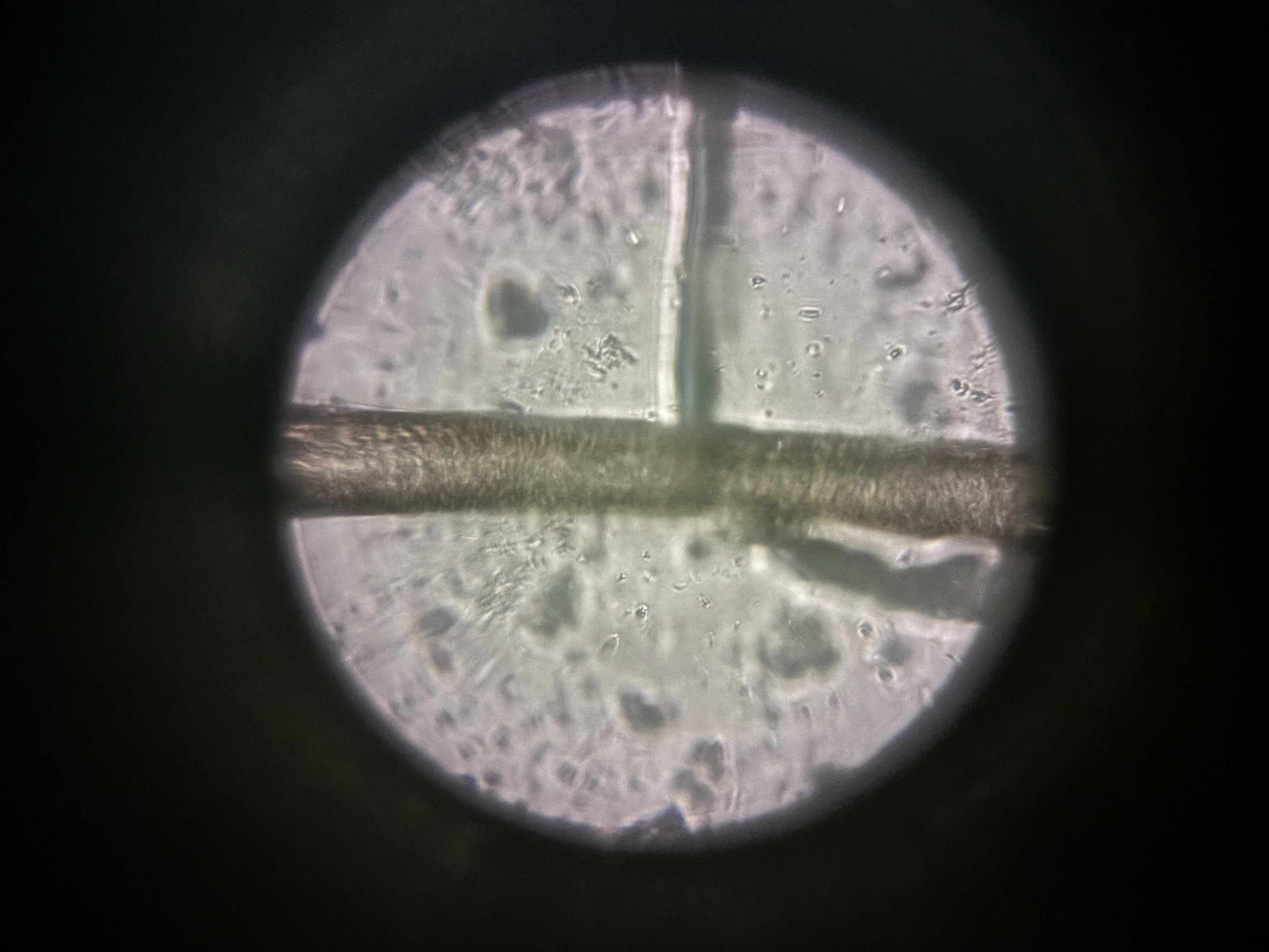 post_media%2FgVogTG5WfASN2bsZBEWMkM3Dk5T2%2F63NhuFXUpkE7XldeyA6V%2Fws1gn2isgs_IMG_1595.jpeg?alt=media&token=4d55d388-eb00-4d4a-8901-1e1b332a4a62