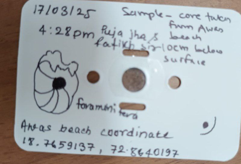 post_media%2FhjRDch2KWxMVP1sOkxTBxdWui3p2%2Fnopid%2Fait3w4zhab_photo_2025-03-20_14-46-51.jpg?alt=media&token=1df5c454-1309-4760-b31c-2fb4a5233163