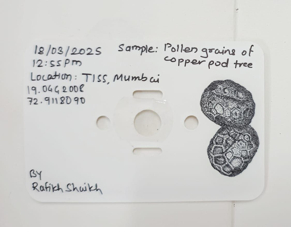 post_media%2FhjRDch2KWxMVP1sOkxTBxdWui3p2%2Fnopid%2Fl2o6zy662j_photo_2025-03-20_14-46-48.jpg?alt=media&token=6fddcaf3-6618-486c-9599-103f1b9f2bf9