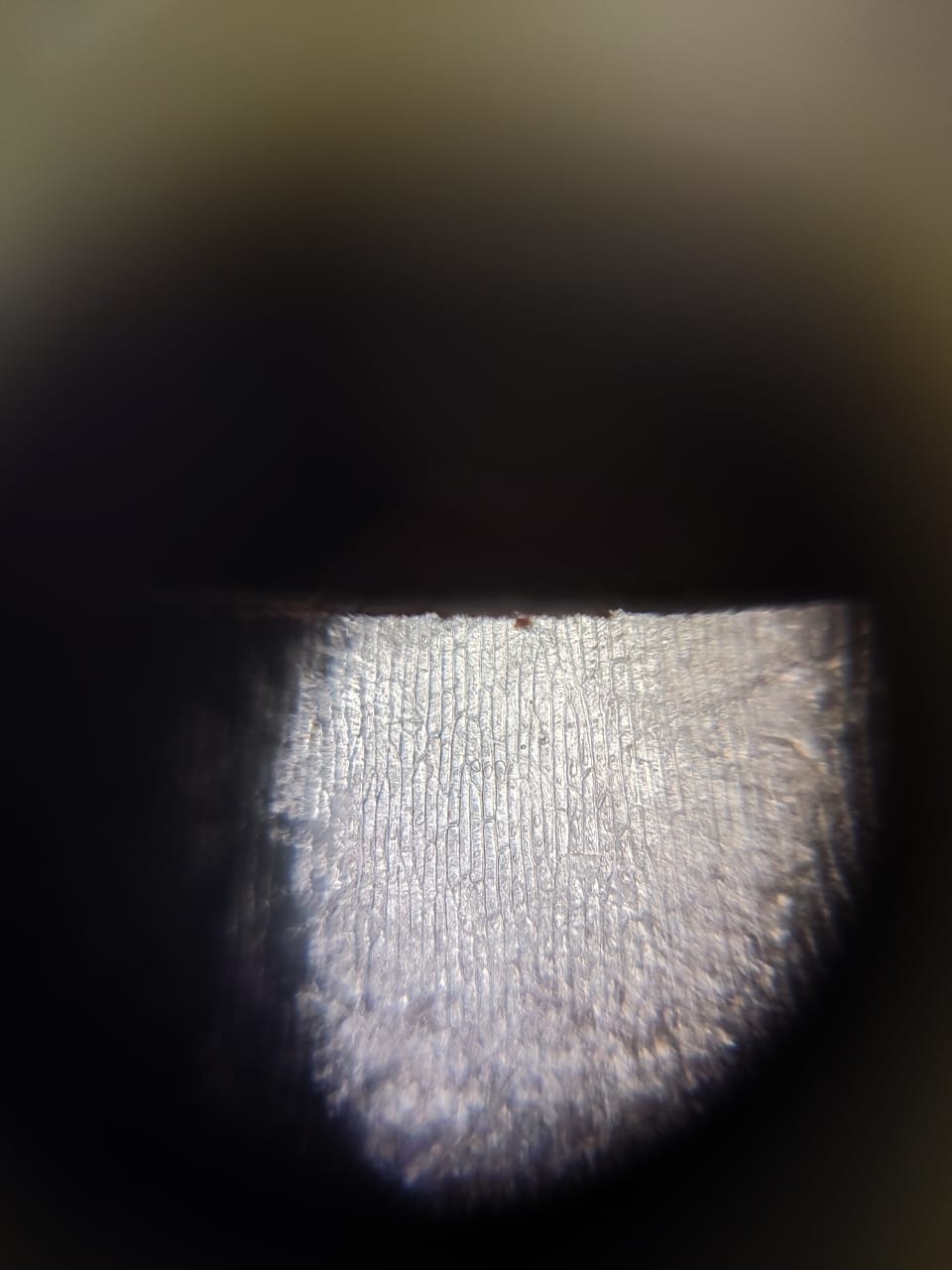 post_media%2FkFWJWhl23tRfEVAuyPewKdTFNLj2%2Fnopid%2Fgopgmfdiaj_WhatsApp%20Image%202026-05-26%20at%203.24.17%20PM.jpeg?alt=media&token=984f9058-73ce-4961-b362-5cf70aff6697