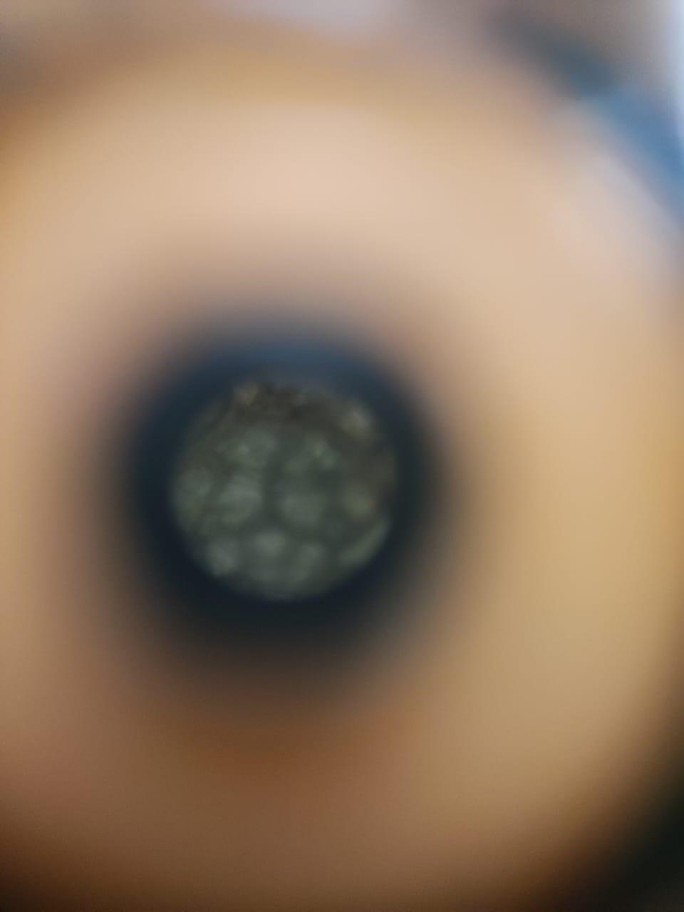post_media%2FkFWJWhl23tRfEVAuyPewKdTFNLj2%2Fnopid%2Fl7zarmyuvo_WhatsApp%20Image%202026-05-27%20at%201.36.32%20PM.jpeg?alt=media&token=bb88c79c-a511-4930-ab92-4ca2c346d6f4