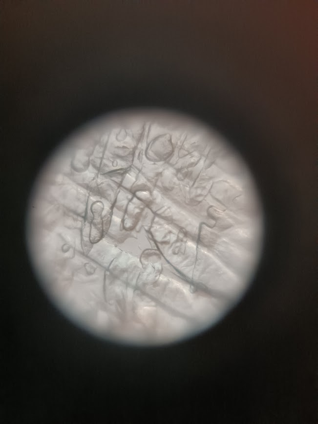 post_media%2FkgKo1keoHcZjmmsBJxg0vhViJlJ2%2FR3WeM76jAEqSVJp9Ncq9%2F2vnhdloahw_MeLikes.jpg?alt=media&token=13dc3a31-7968-4224-af43-34130a8f1ab5