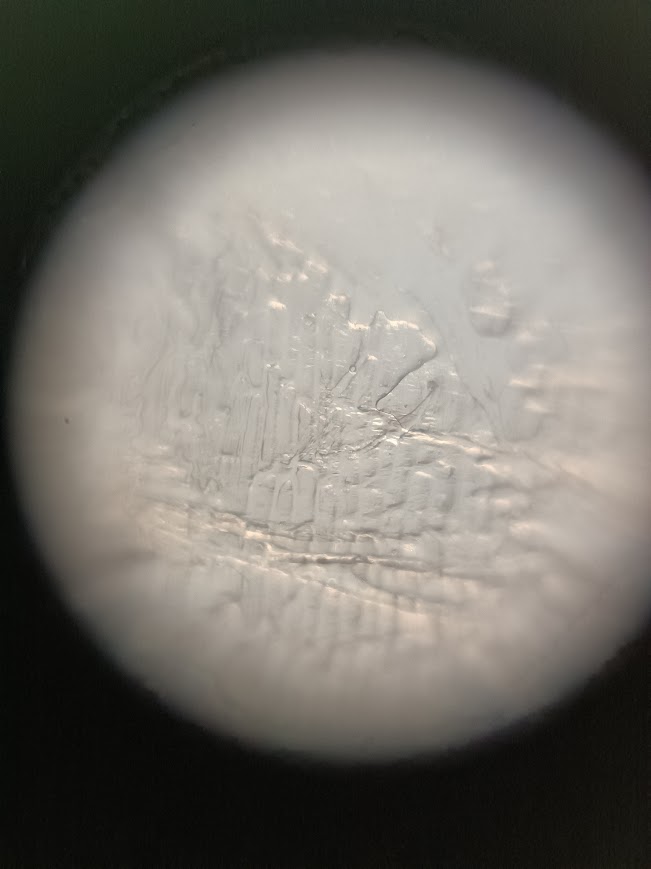 post_media%2FkgKo1keoHcZjmmsBJxg0vhViJlJ2%2FR3WeM76jAEqSVJp9Ncq9%2Fqwn9ln8r4g_Onion.jpg?alt=media&token=3207e3f3-f577-4836-b738-111859f44558