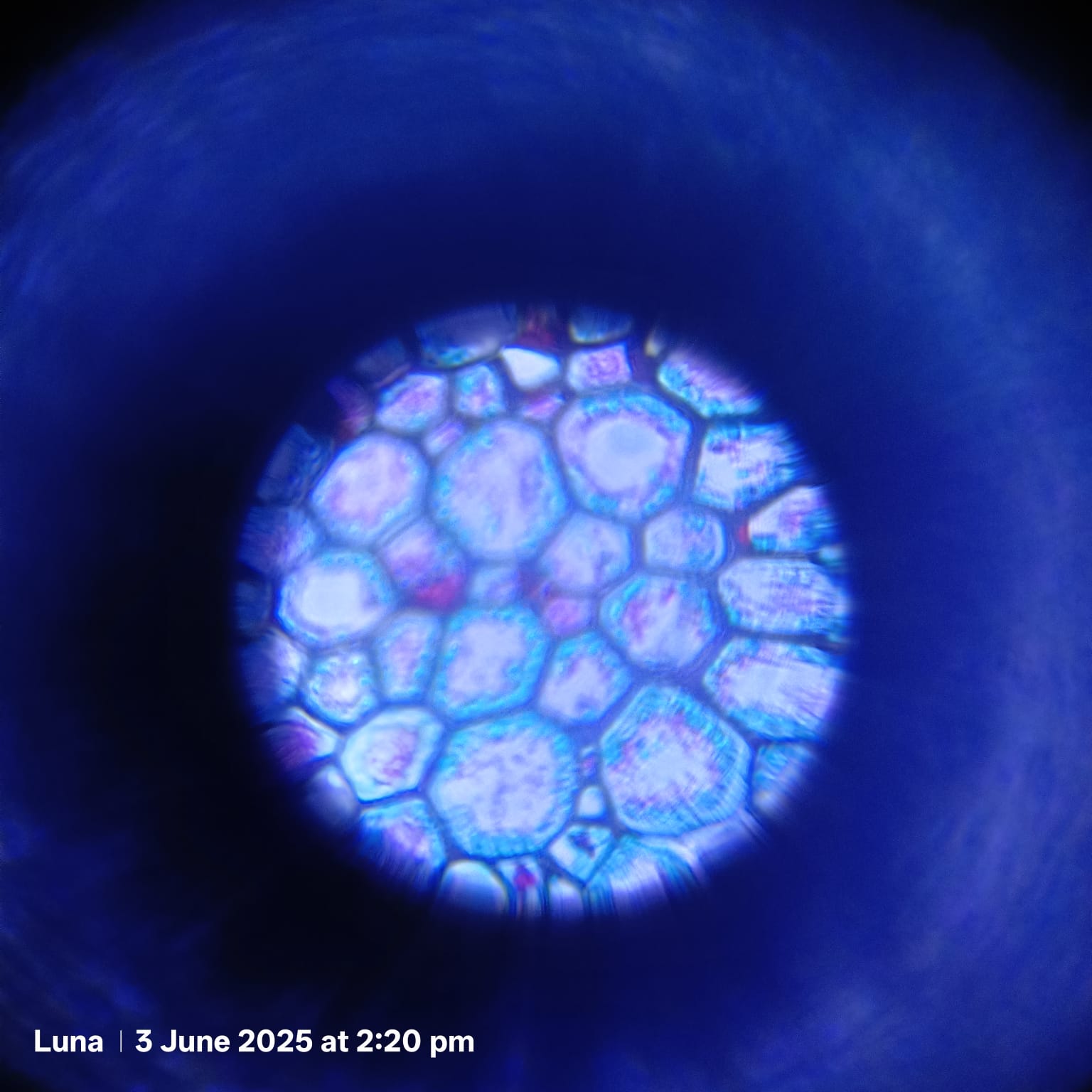 post_media%2FlGbJLf1x7nVMWuBle0CumfGqjRJ3%2Fnopid%2Fod645v9u9o_WhatsApp%20Image%202025-06-10%20at%2013.55.54%20(1).jpeg?alt=media&token=534ee388-3182-4df2-9eb5-009c0be230a6